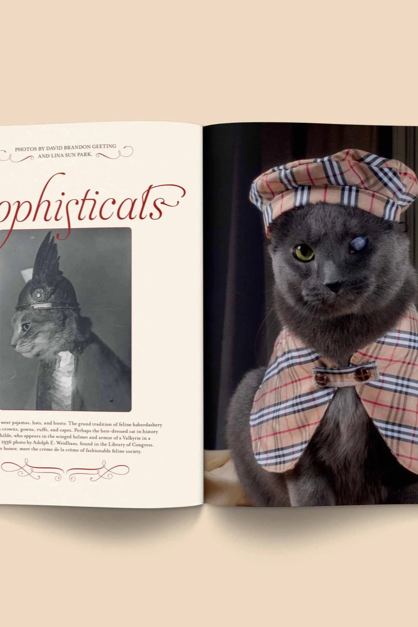 Catnip Magazine showing an open page of a cat in tartan by Broccoli.