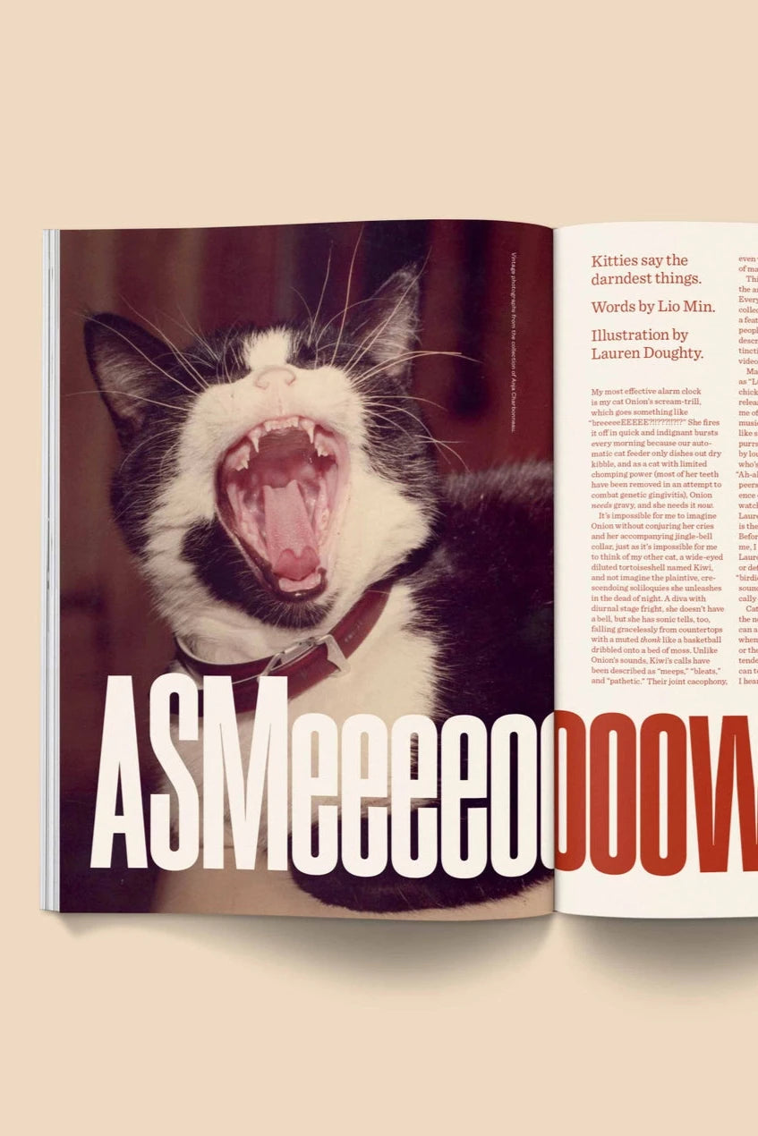 Catnip Magazine showing an open page with a cat yawning by Broccoli.