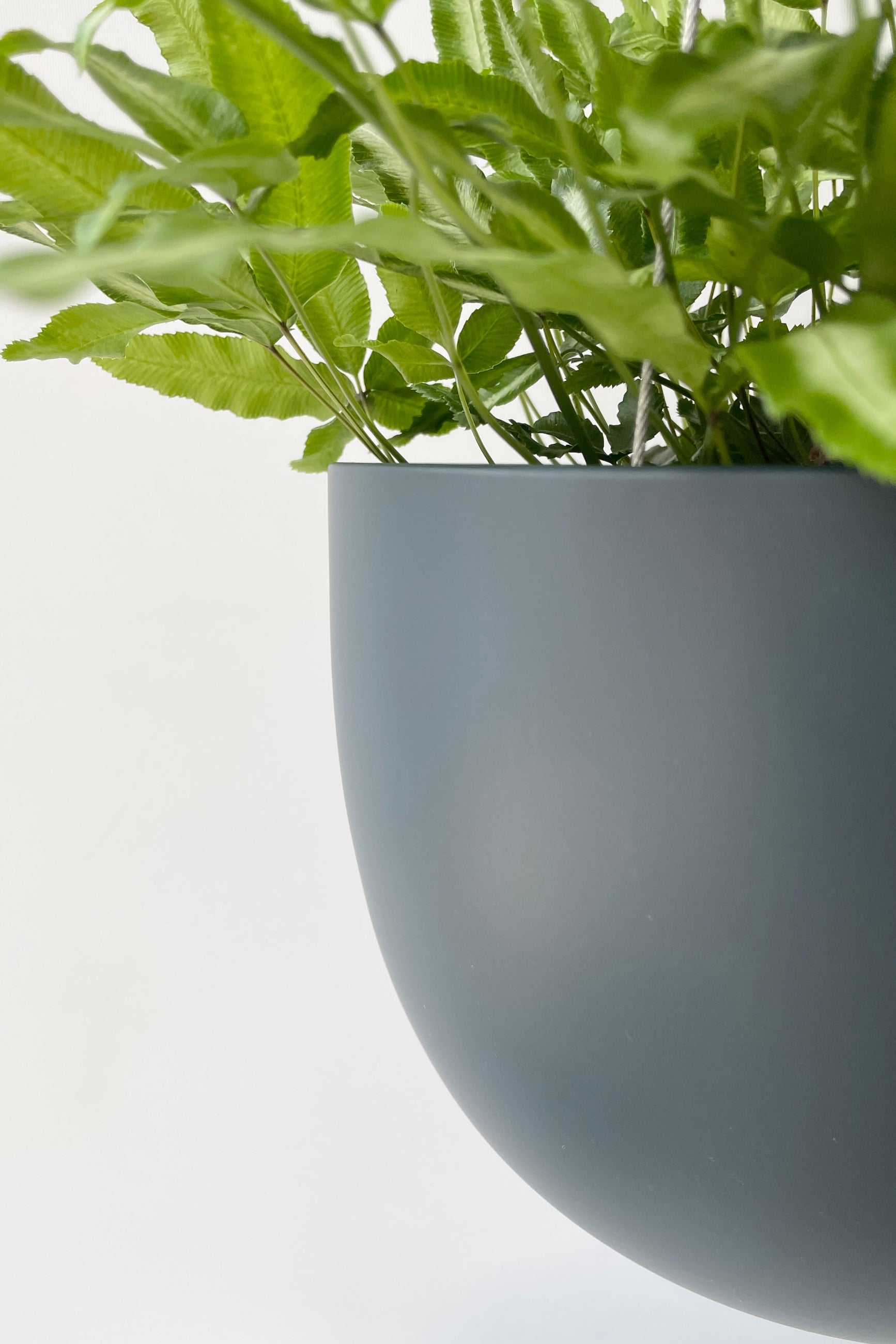 Close up of the Matte Deep blue finish on a Clifton Planter ©Sprout Home