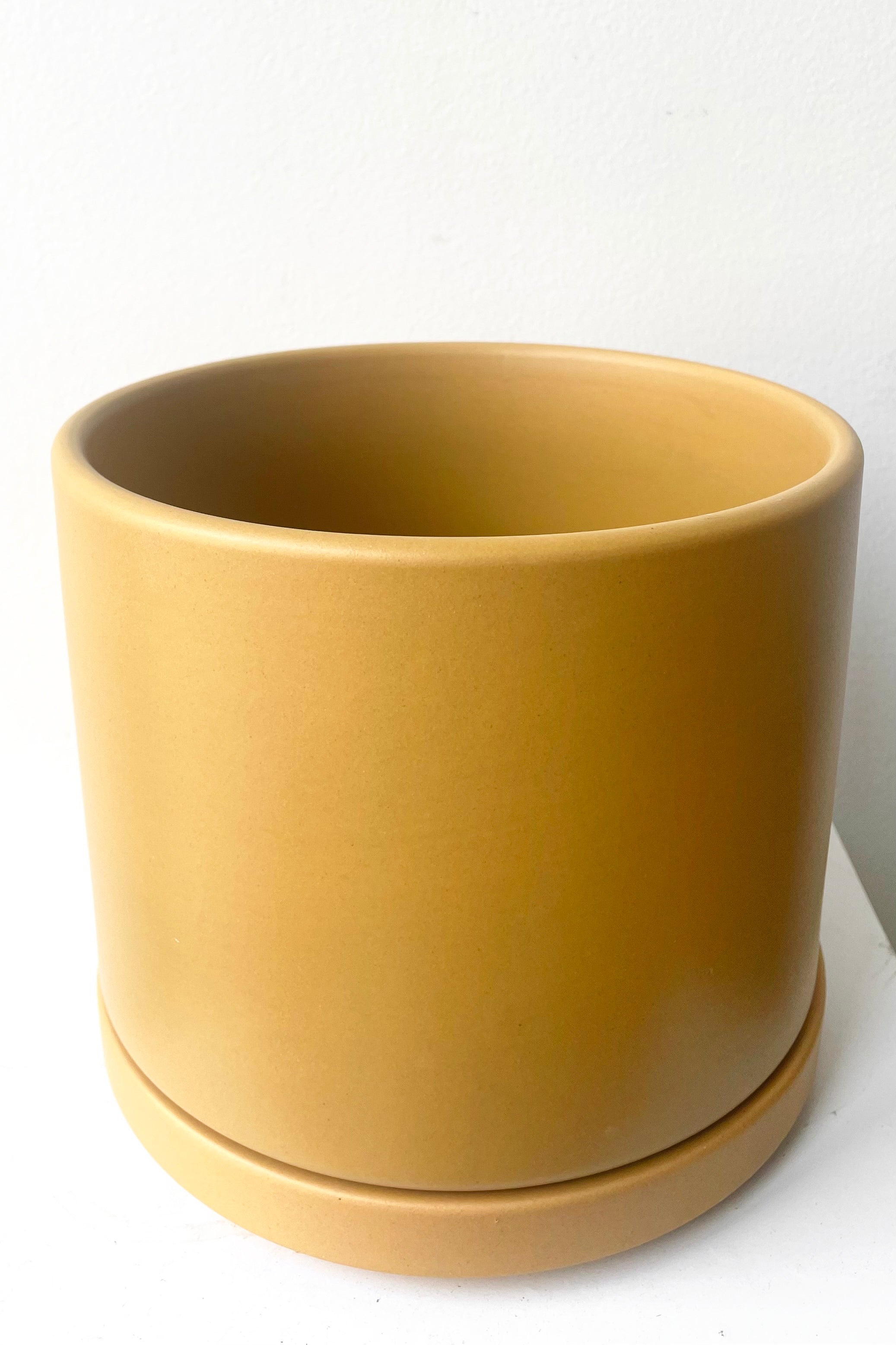 A slight overhead view of Solid Cylinder & Saucer mustard 6" against white backdrop
