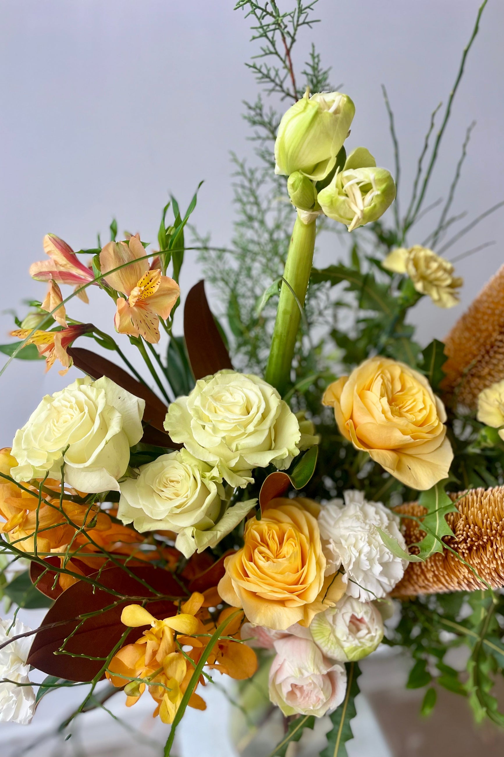 A close photo of fresh flowers in a vase in front of a white wall including Roses, Amaryllis, Banksia and orchids from Sprout Home Floral in Chicago ©Sprout Home #size_$200
