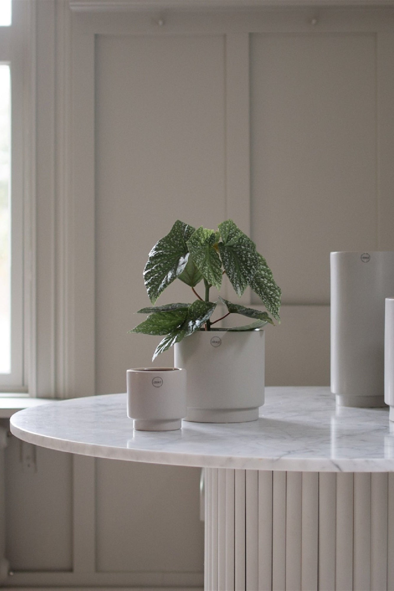 SOLid Mole pots sitting in a room the same off white color as the pots with the larger pot having a begonia plant inside. ©BIDK