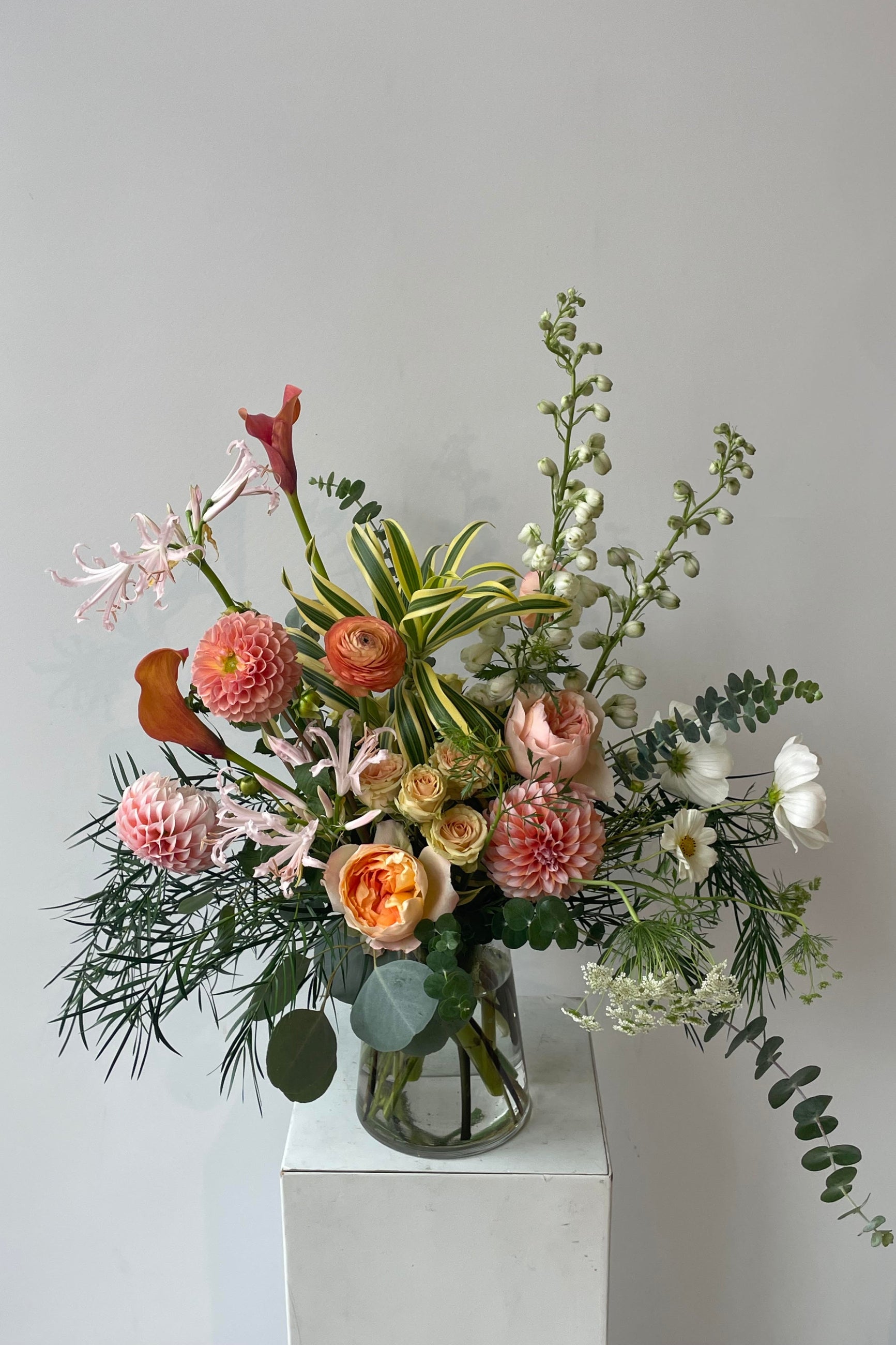 Floral Arrangement Dawn at Sprout Home Chicago in a glass vase against a white wall featuring Dahlias and Garden Roses ©Sprout Home #size_$160
