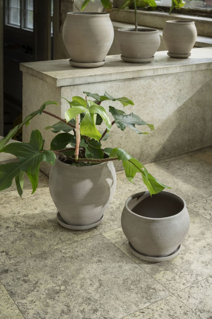 A lush plant in grey planter in a tiled room ©Bergs Potter