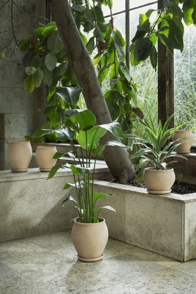 An atrium with plants and neutral terracotta pottery ©Bergs Potter