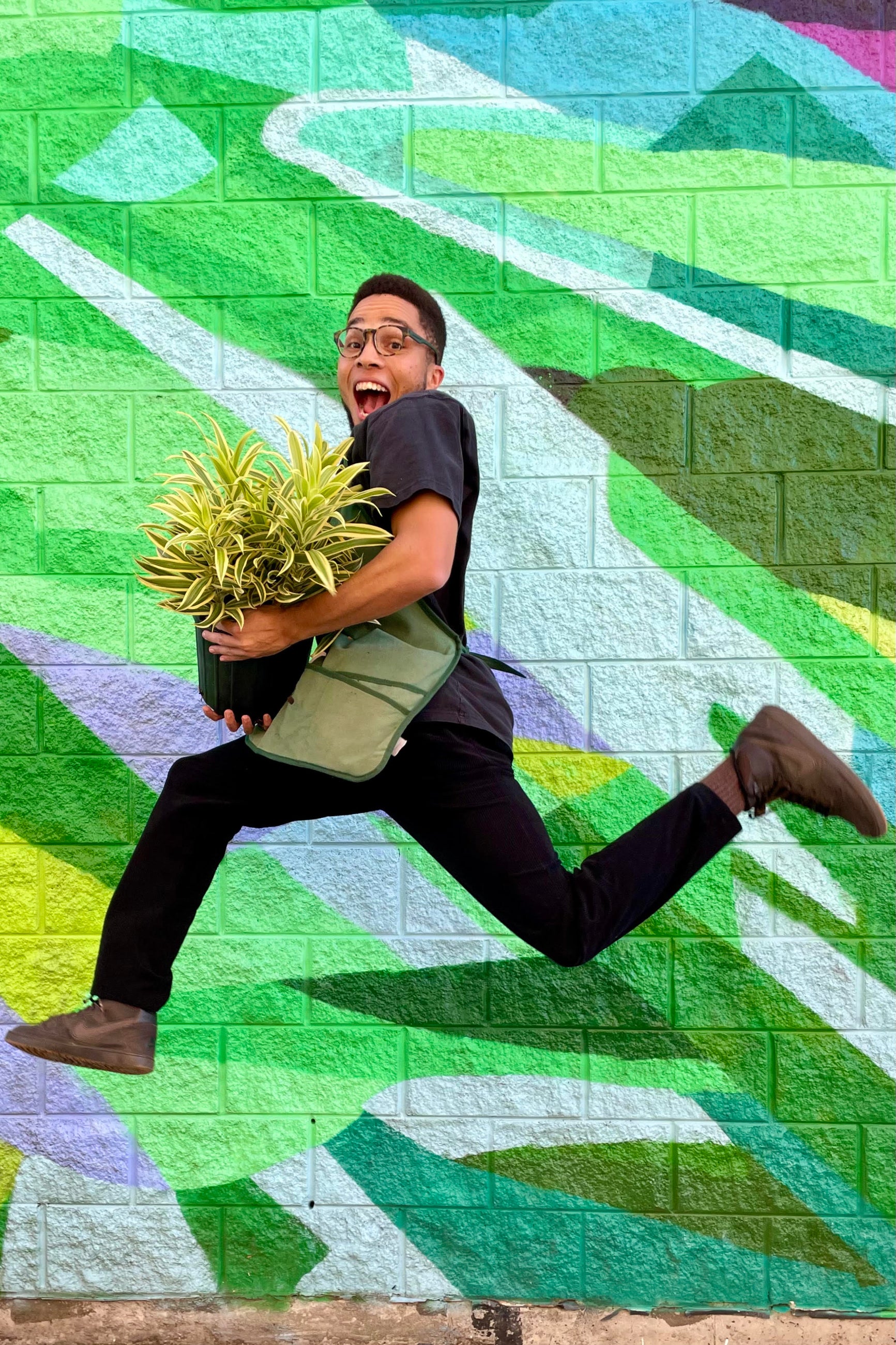 Photo jumping while holding a plant. The plant has green and yellow striped leaves and is in a black pot. The background is a colorful mural. ©Sprout Home