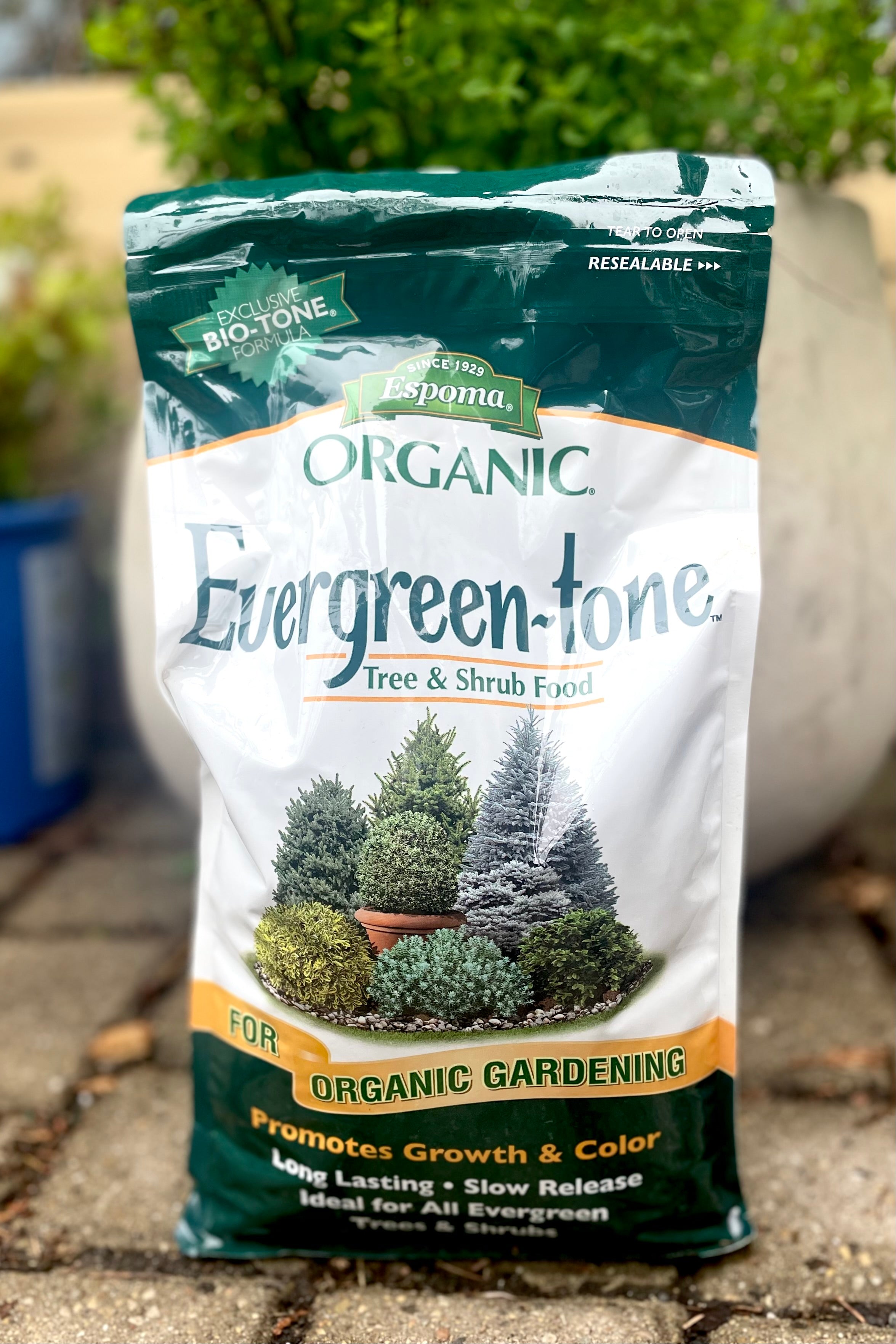 A full view of Espoma Evergreen-Tone 4lb surrounded by plants