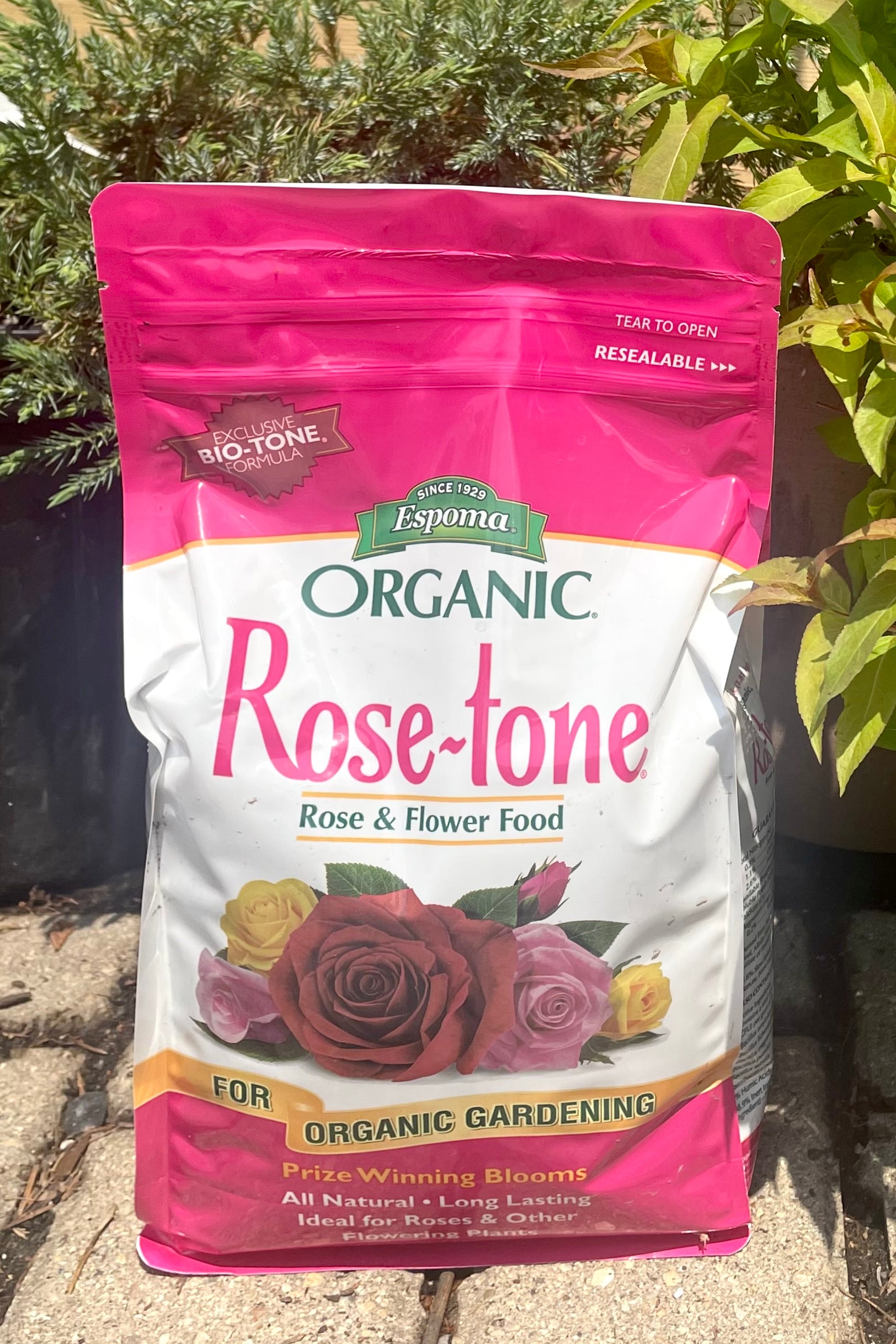 A full frontal view of Espoma Rose-Tone 4lb surrounded by foliage