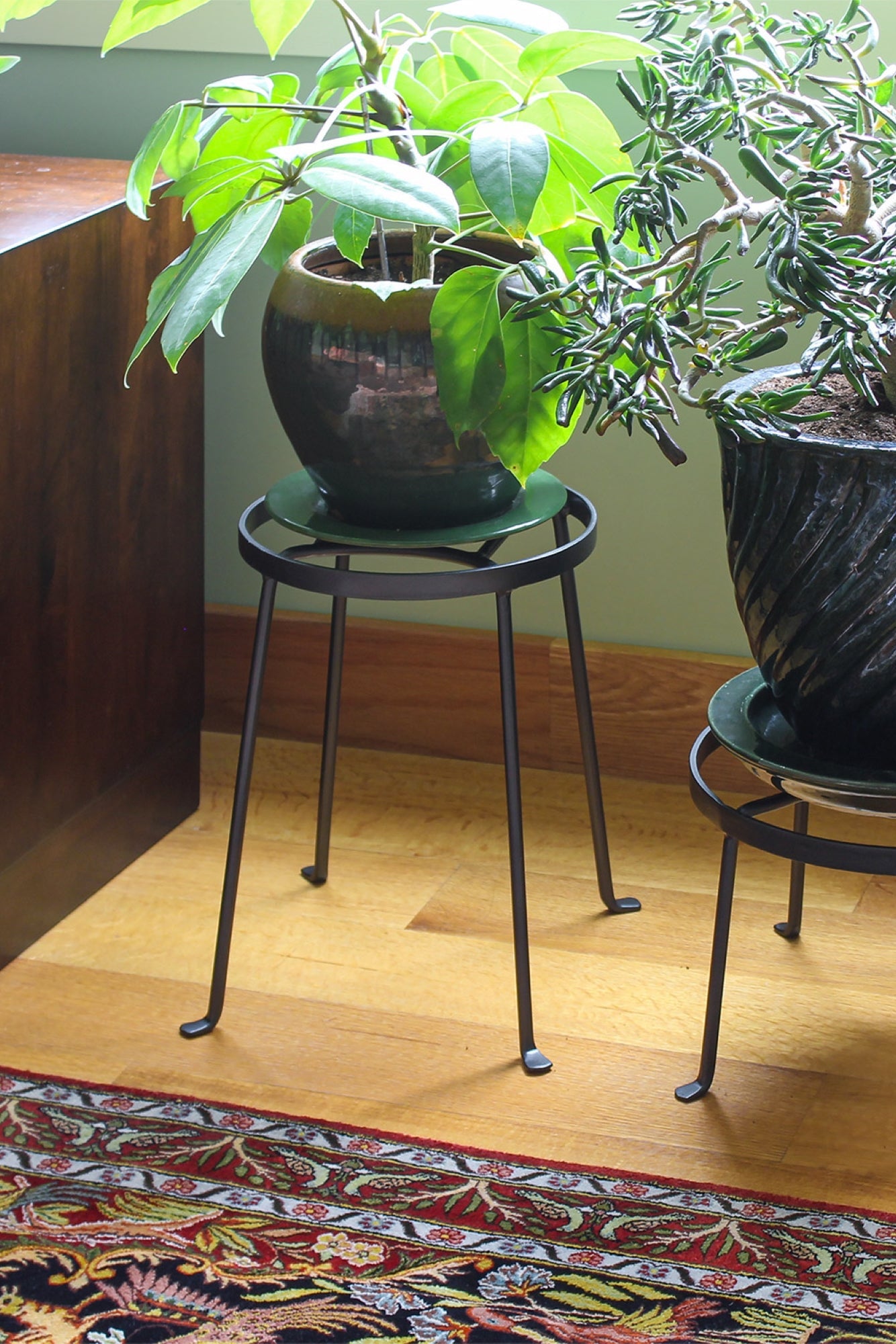 potted plant on medium Argyle metal stand with a colorful rug in the foreground. ©Achla Designs