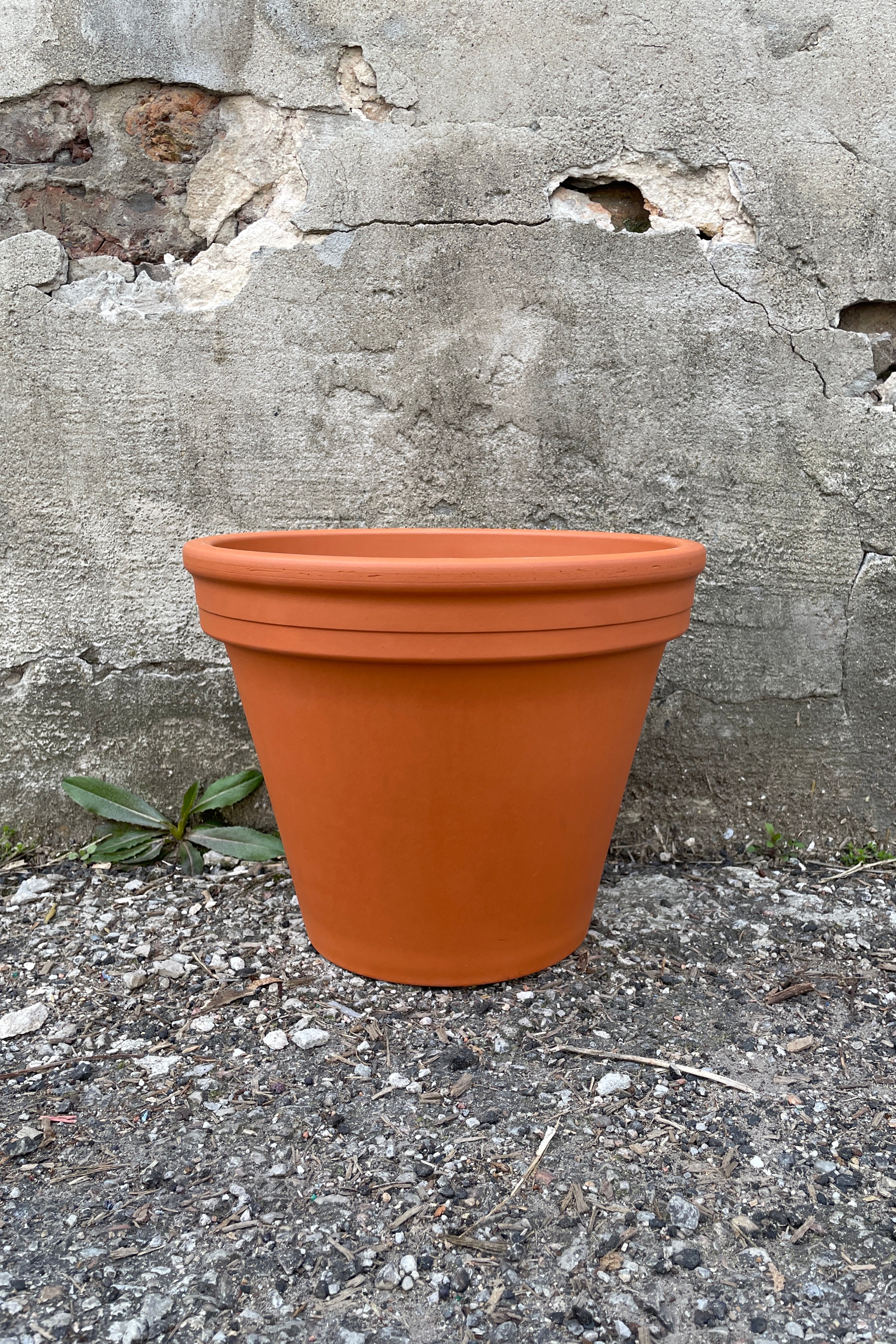 A standard 12" red clay pot against a concrete wall at Sprout Home.