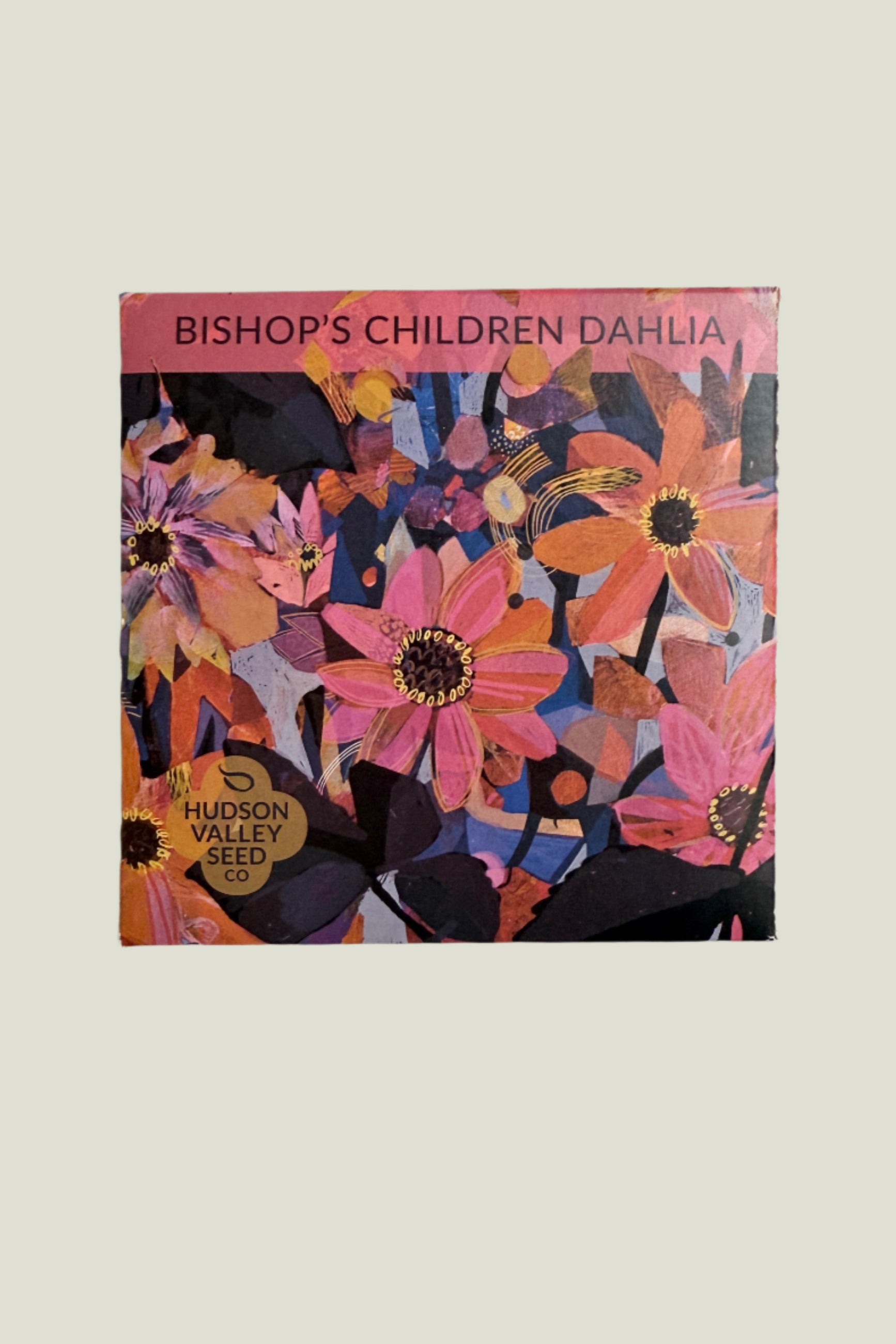 Bishops Children Dahlia Pack of seeds ©Sprout Home