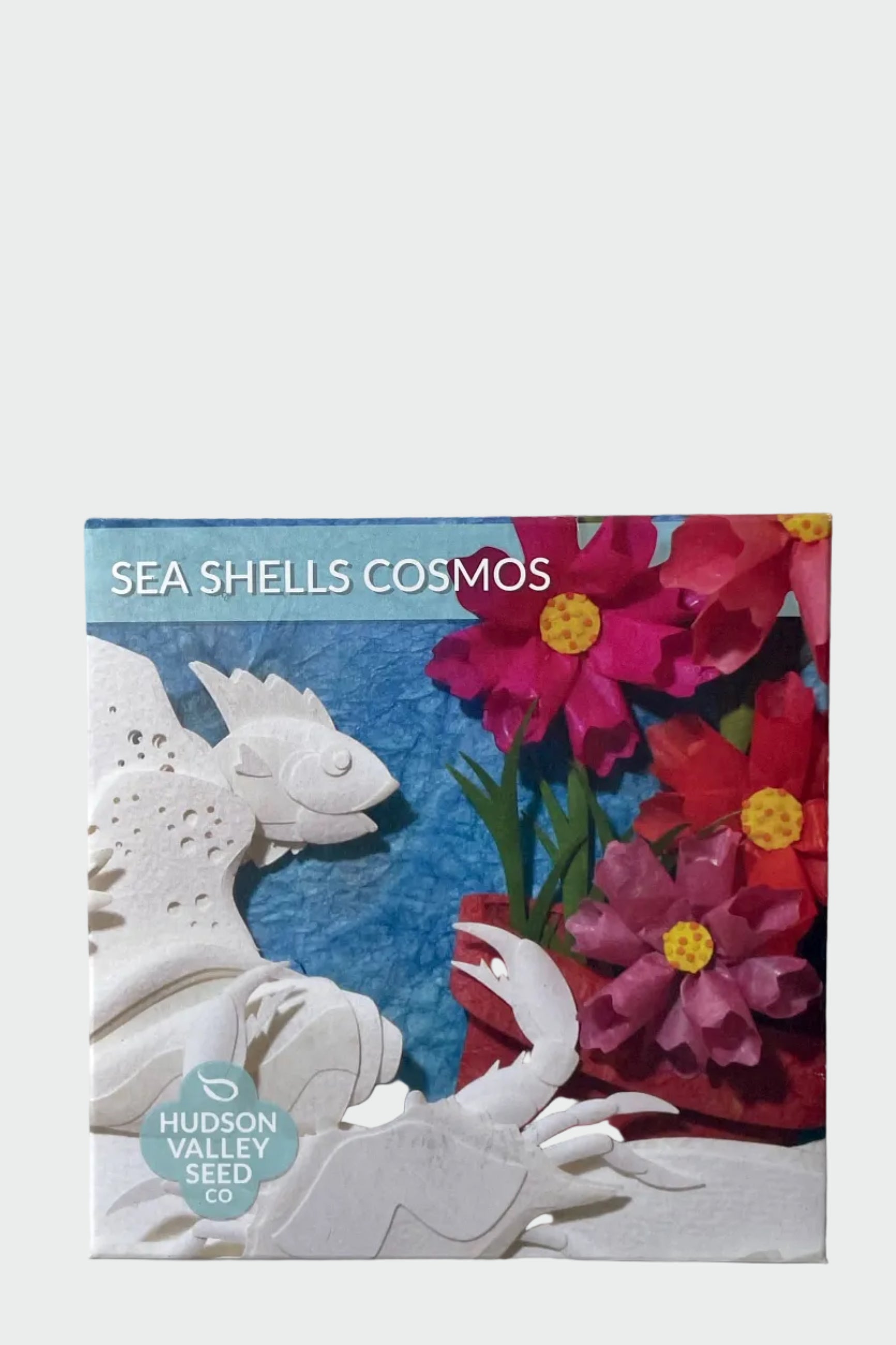 Packaging of 'Sea Shells Cosmos Seeds Art Pack' featuring an illustration of pink, cream, and white cosmos flowers with leaves on a blue background, alongside an artistic representation of a seashell. ©Sprout Home