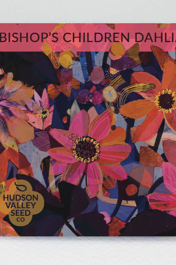 The front image of the Hudson Valley Seed Art Pack for Bishops Children Dahlia ©Hudson Valley Seeds