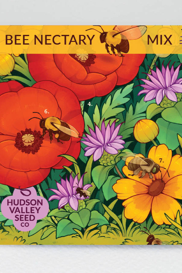 Front image of the Hudson Valley Seeds Bee Nectary Mix ©Hudson Valley Seeds