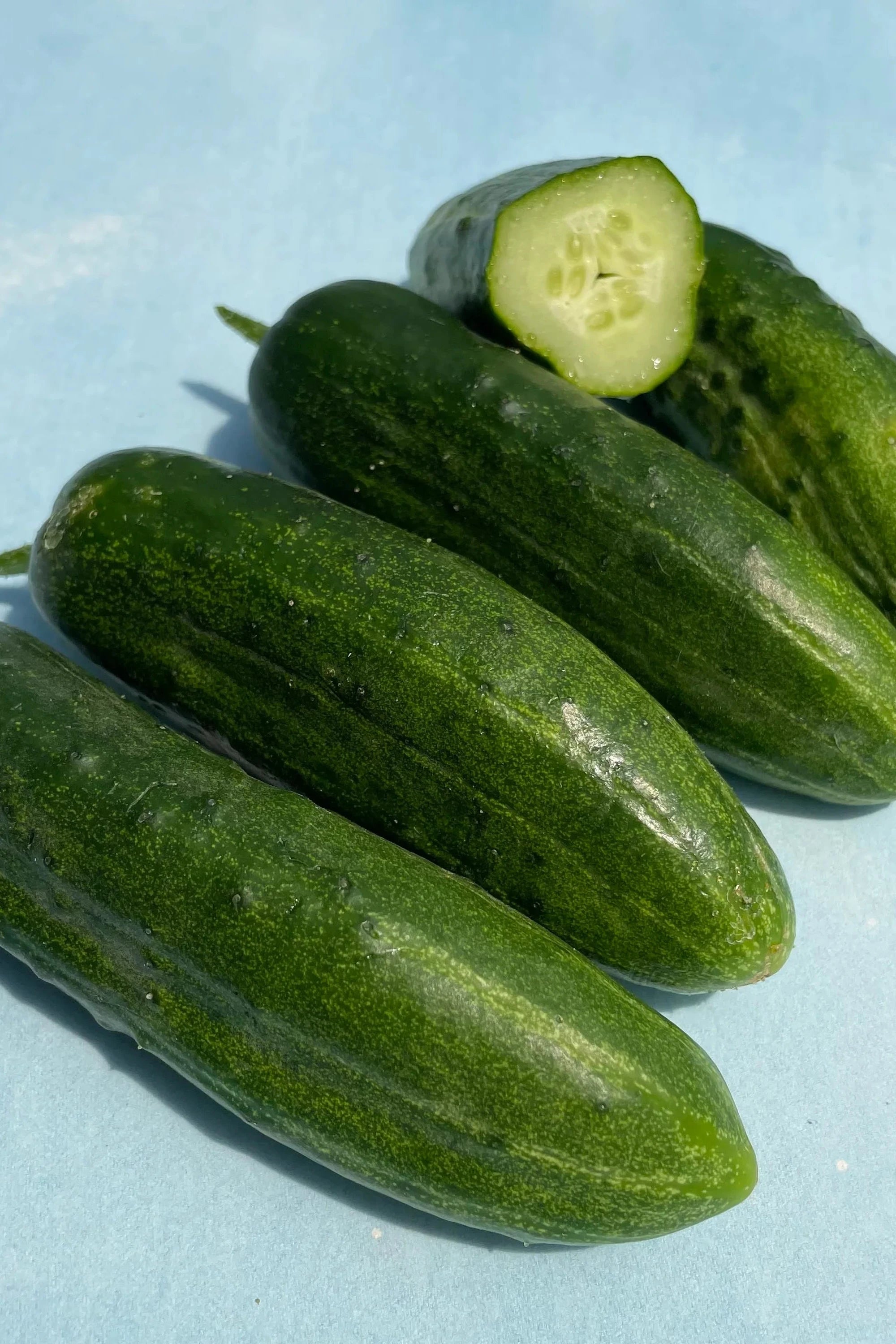 Ukrainian Slicing Cucumber Image by Hudson Valley Seeds.