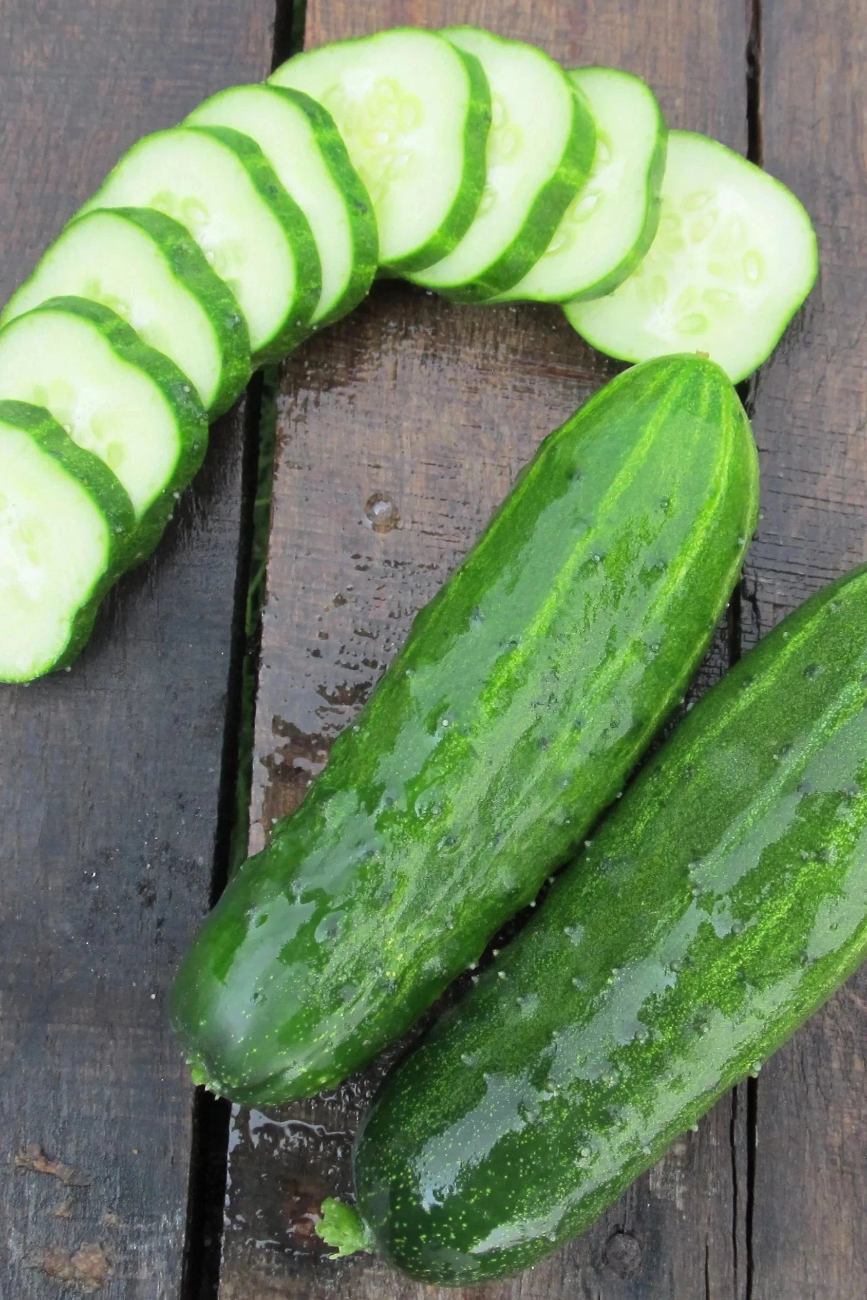 Ukrainian Slicing Cucumber Image by Hudson Valley Seeds.