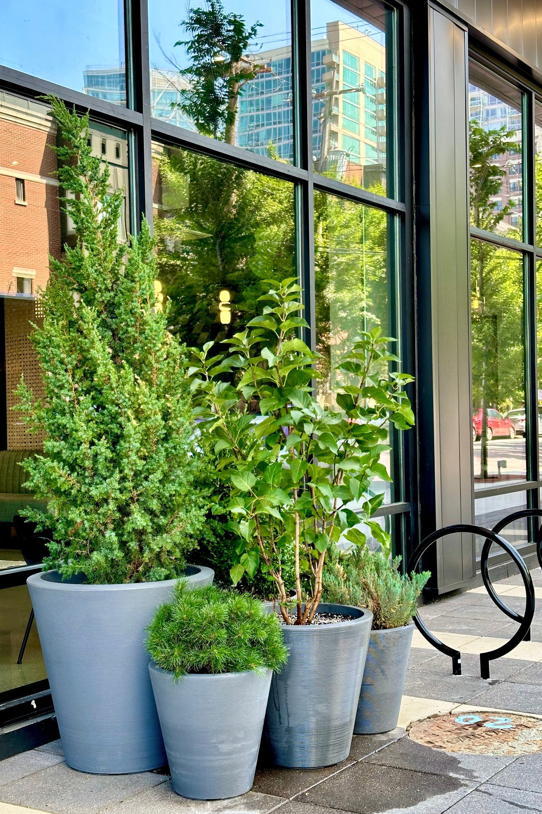 A set of five gray Madison planters in varying sizes arranged on a stone sidewalk in front of a modern building with large black-framed glass windows as part of an installation garden design by Sprout Home ©Sprout Home