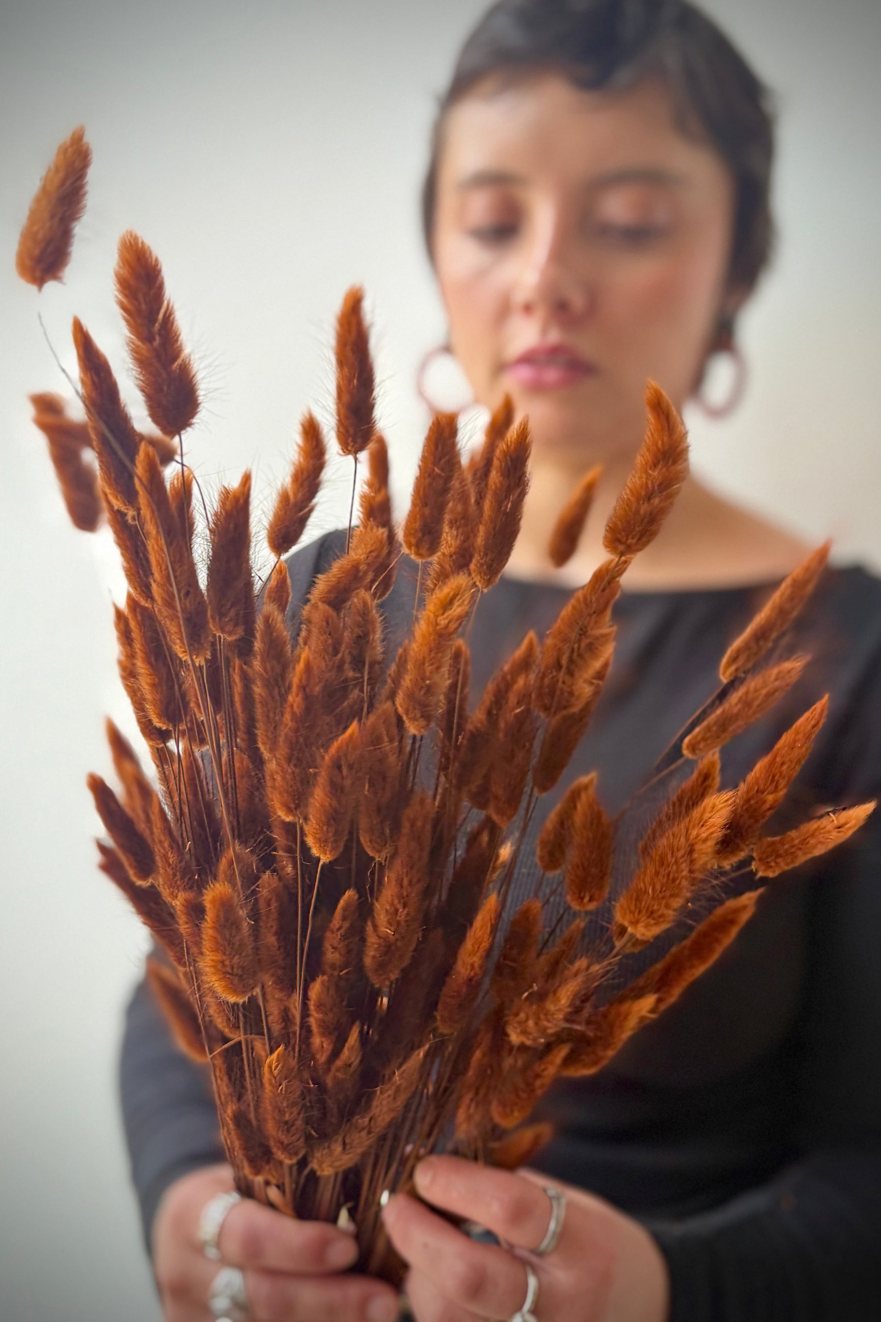 Person holding a bundle of dried brown Lagurus grasses against a neutral background ©Sprout Home