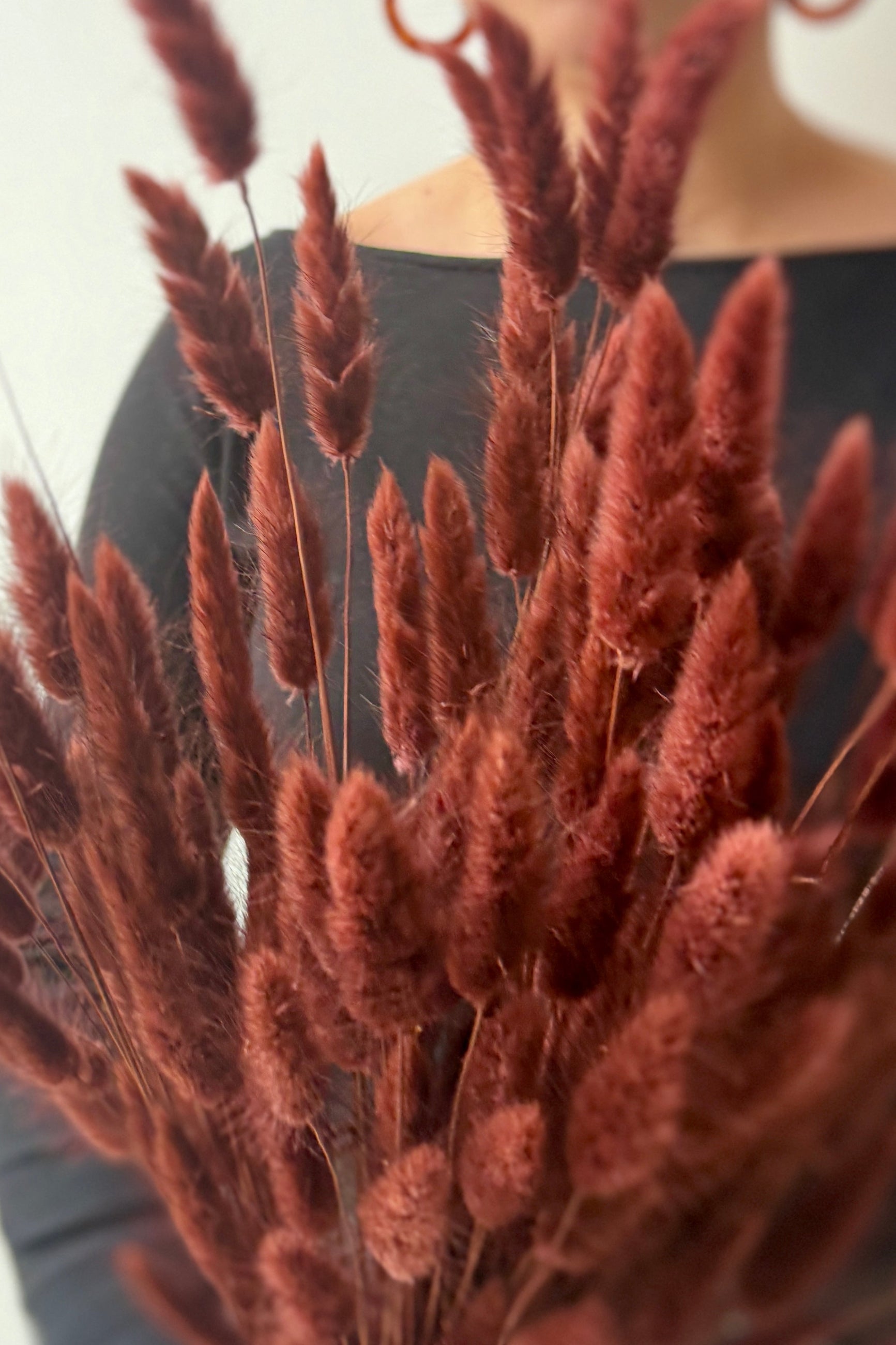 Close-up of dried and preserved mauve colored bunny tails lagurus with a blurred background ©Sprout Home