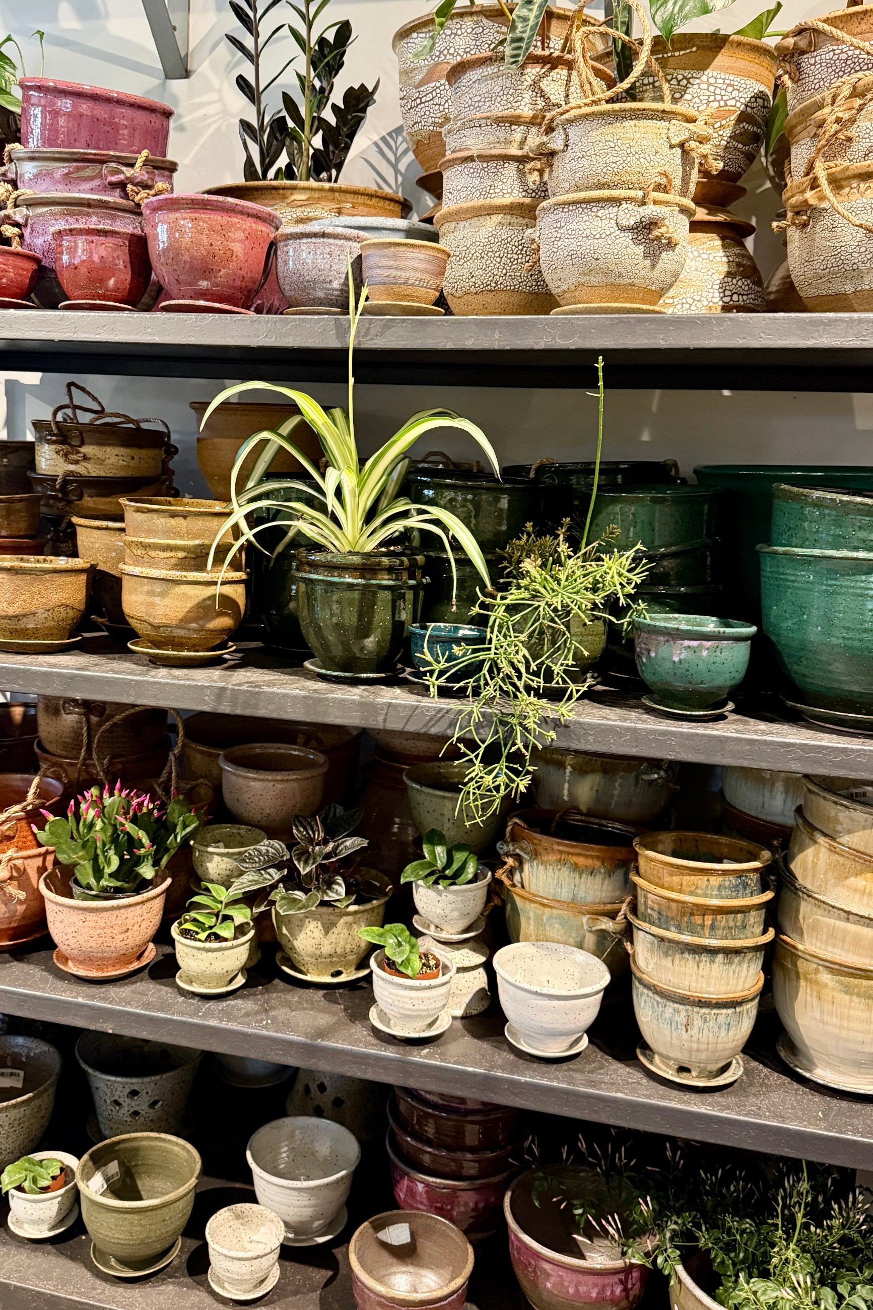 Shelves filled with various Bruning Pottery Pots at Sprout Home store in Chicago ©Sprout Home