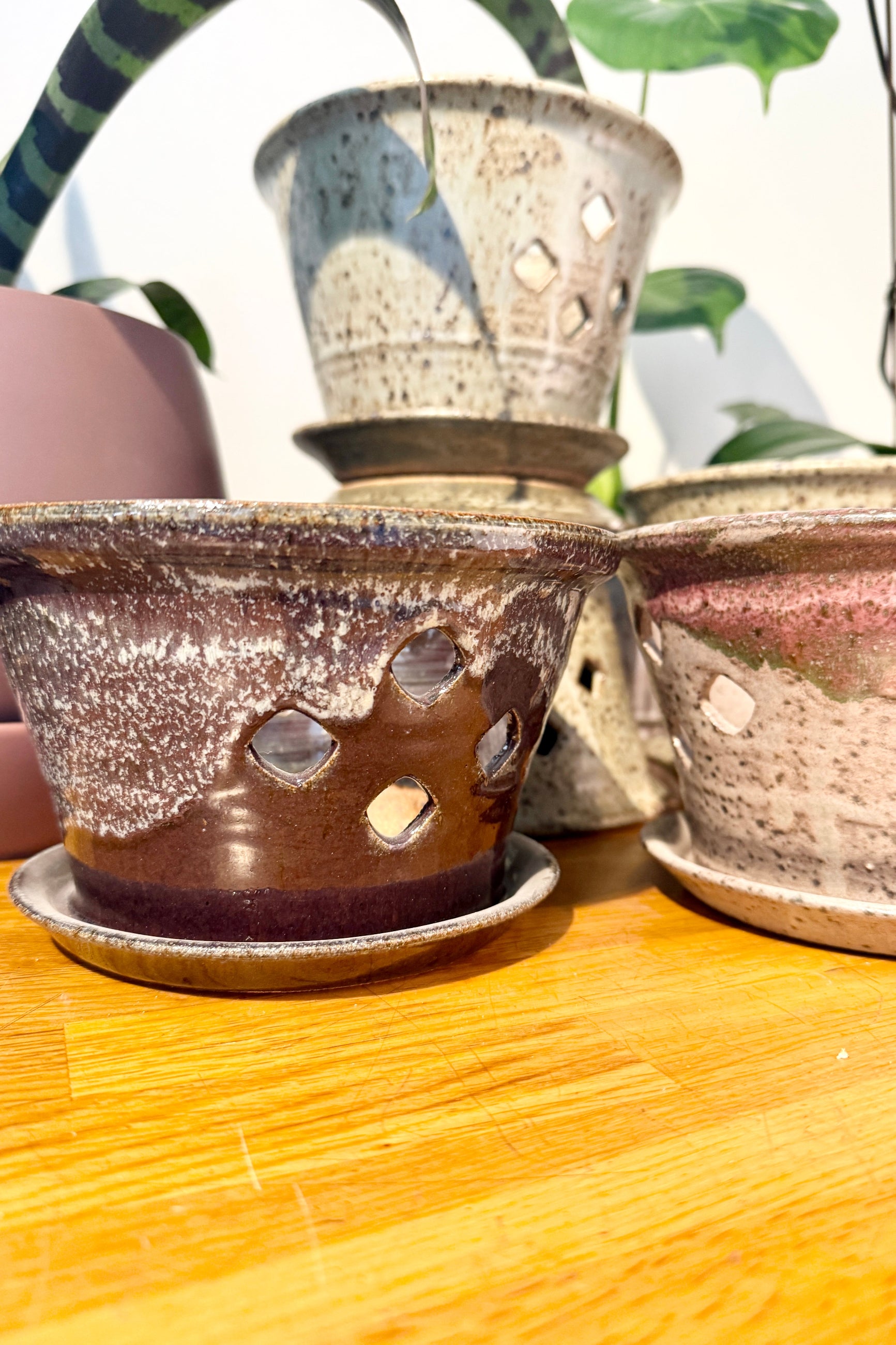 Set of Bruning Pottery ceramic orchid plant pots with textured surfaces on a wooden surface ©Sprout Home