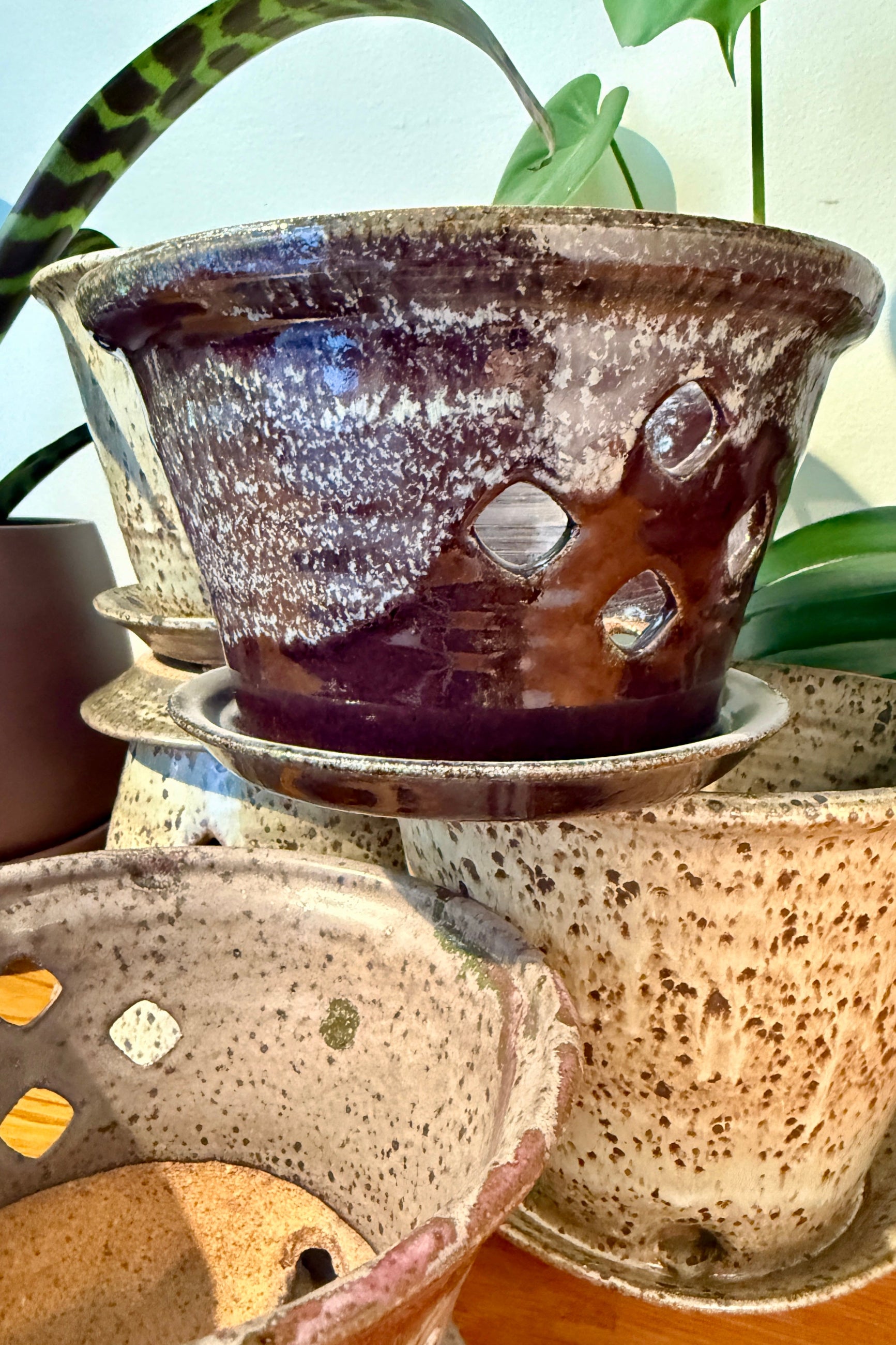 Set of Bruning Pottery ceramic orchid plant pots with textured surfaces on a wooden surface ©Sprout Home