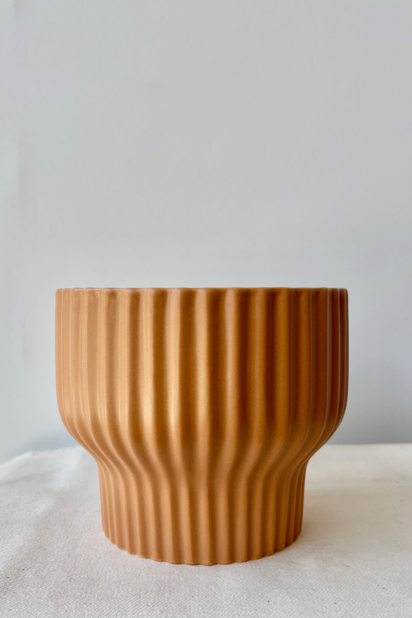 Medium ginger planter by Jungle Club displayed against a white wall