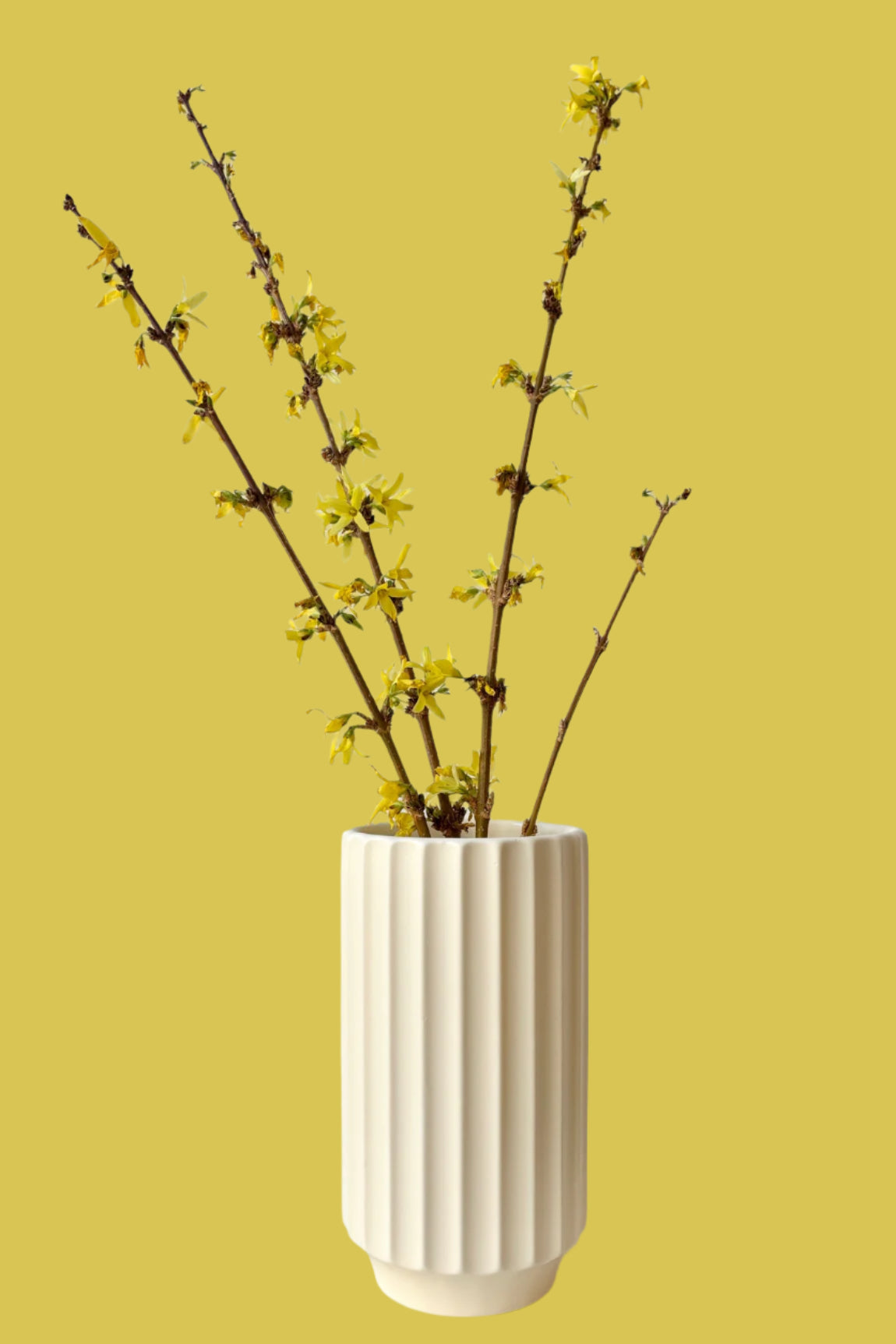 Vintage white ribbed ceramic vase against a white background