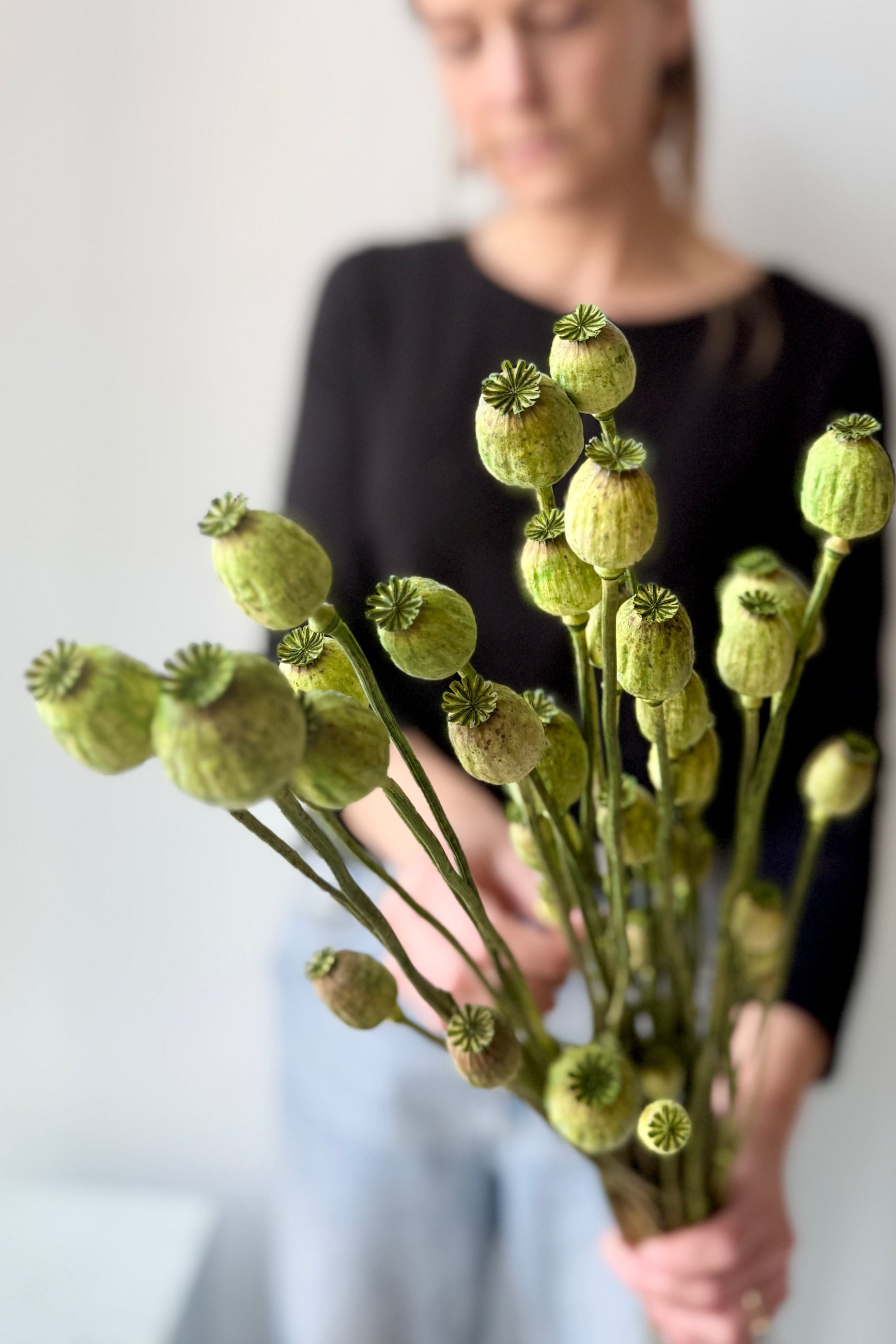 Poppy Vaporizado Preserved Olive Color Bunch being held in hand ©Sprout Home