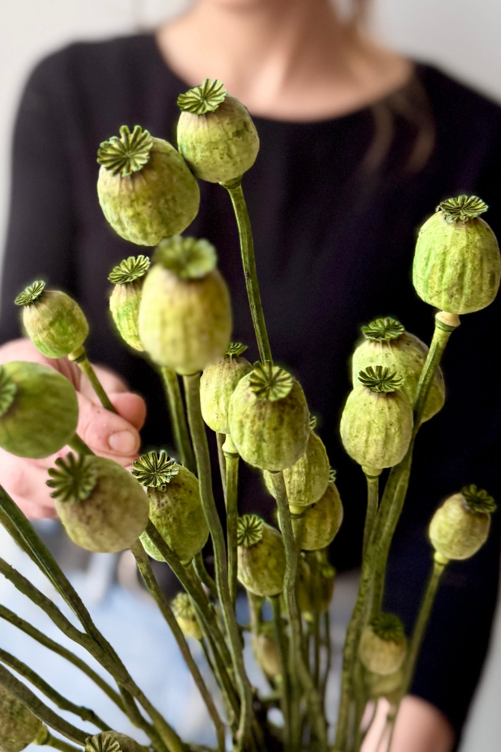 Poppy Vaporizado Preserved Olive Color Bunch being held and up close ©Sprout Home