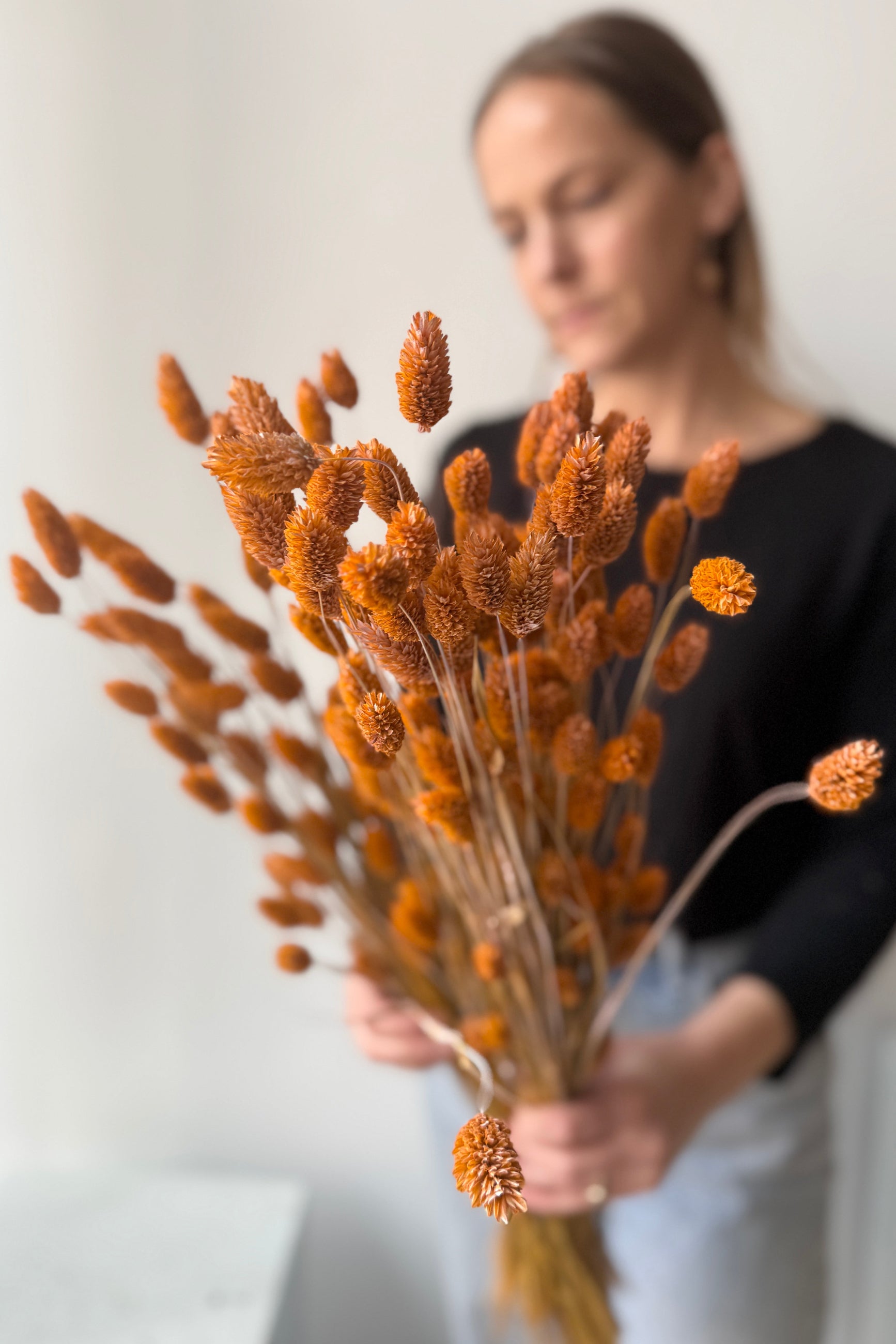 Person holding a Phalaris Dusty Orange Color Preserved Bunch against a plain background ©Sprout Home