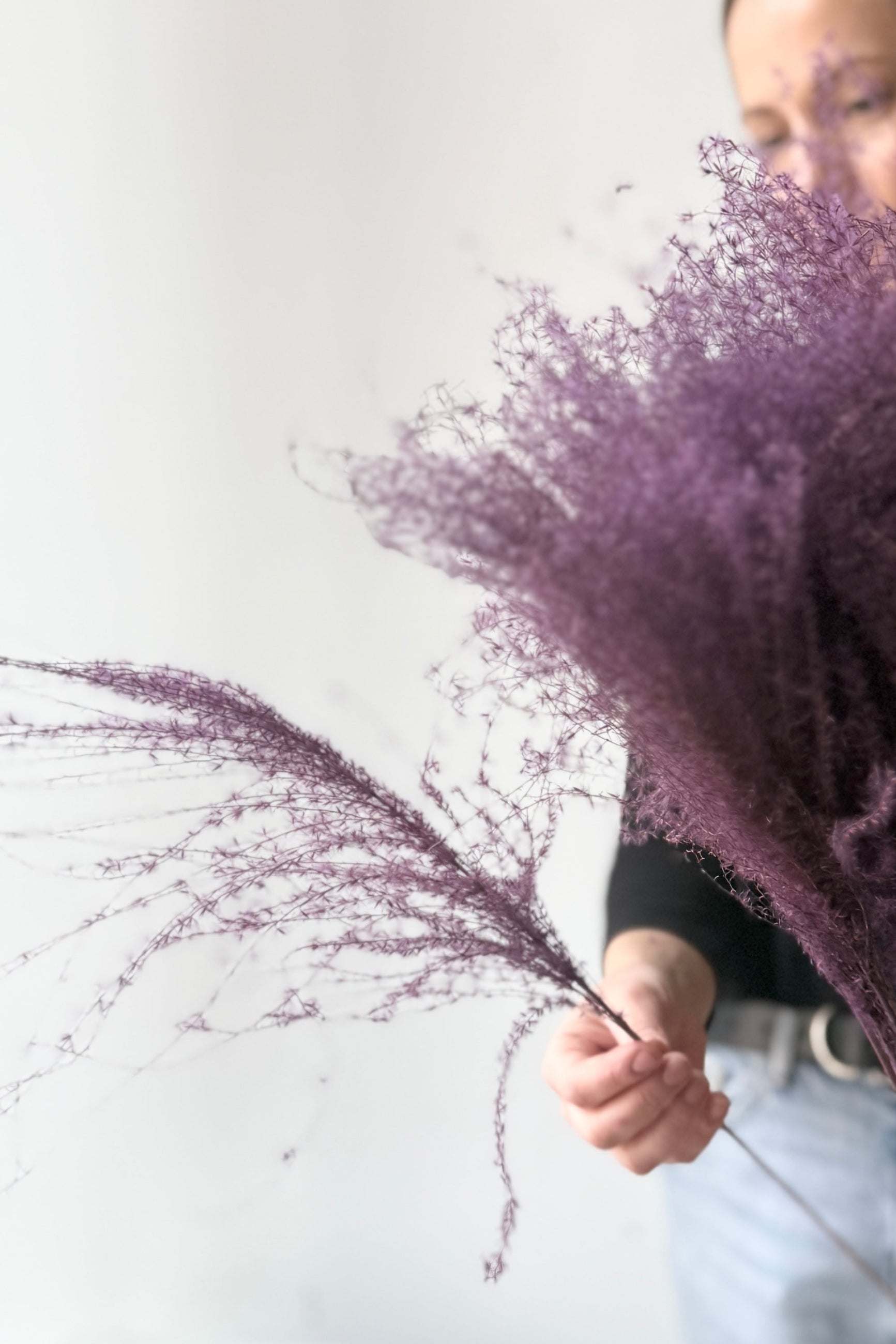 Person holding a Miscanthus Lavender Color Preserved Bunch against a plain background ©Sprout Home