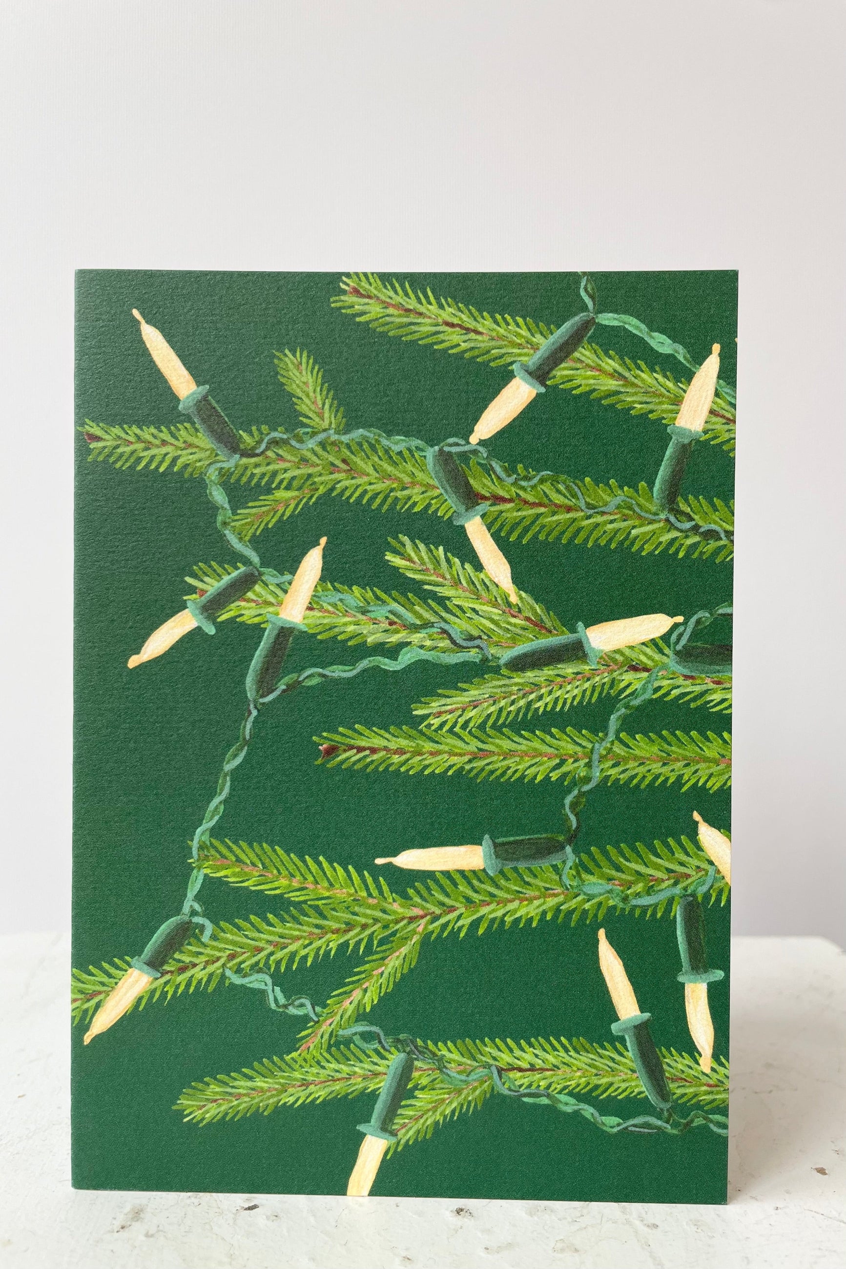 Close up of white string lights on fir tree branches. Blank inside. ©Sprout Home