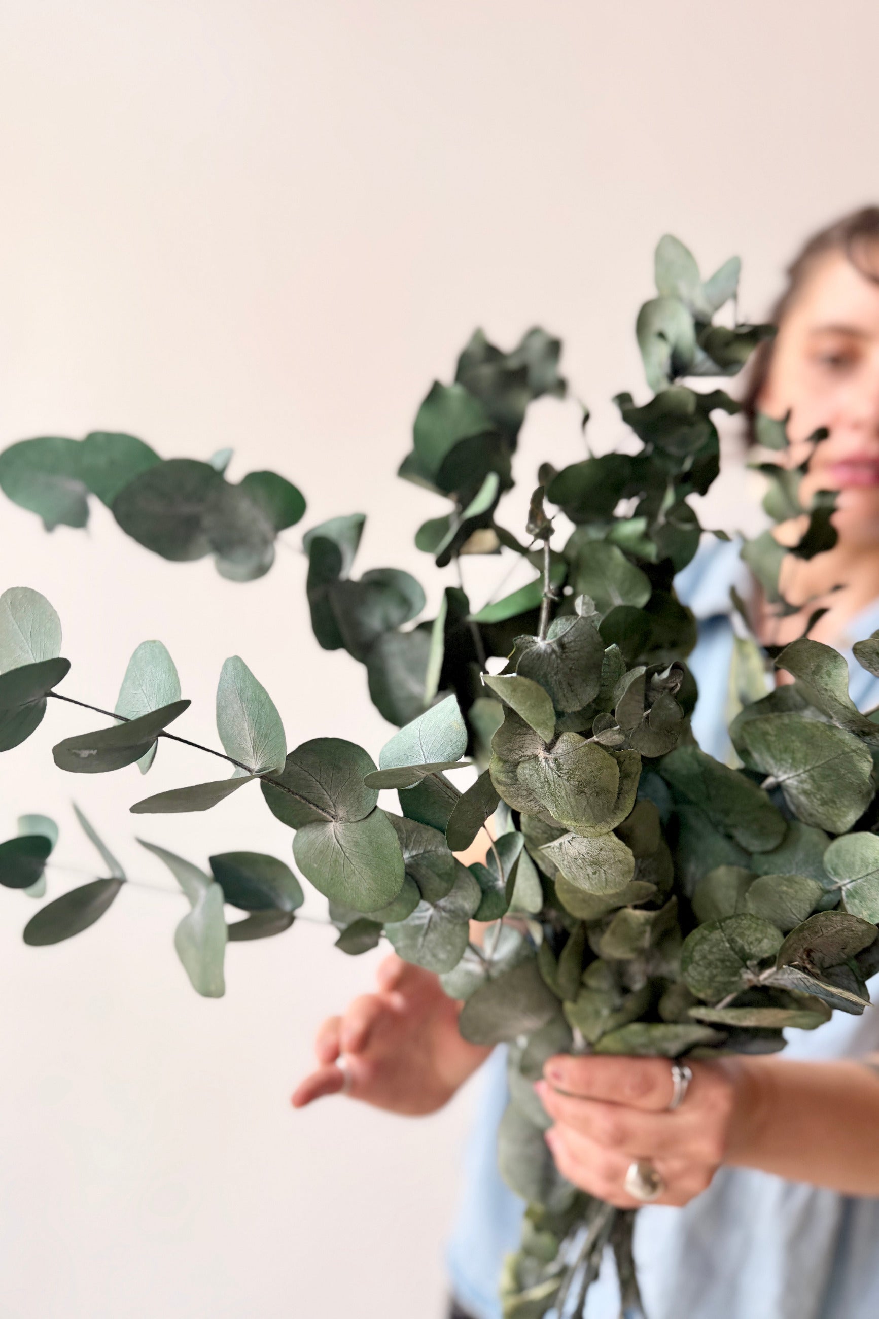 Person holding a l Eucalyptus Spiral Blue Color Preserved Bunch against a plain background ©Sprout Home