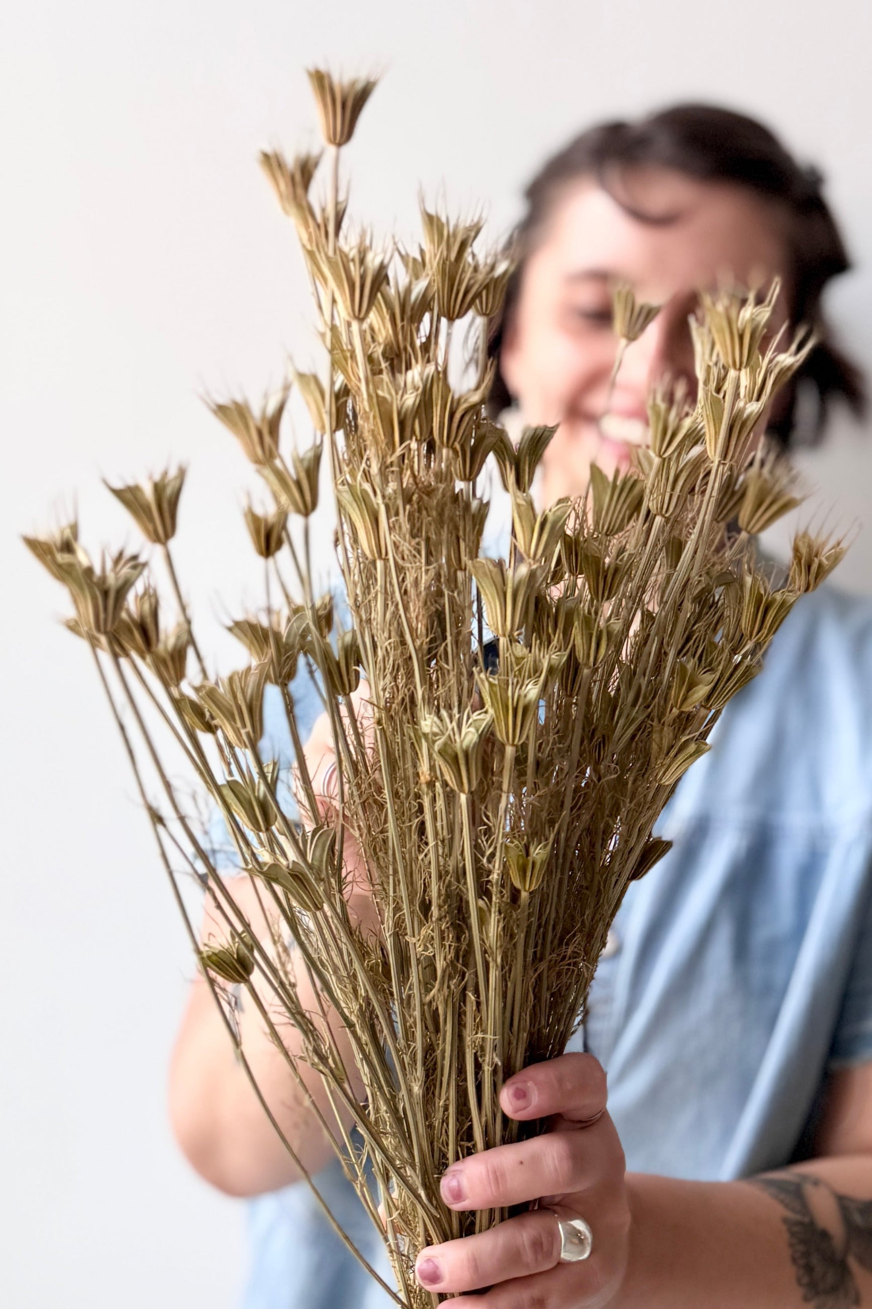 Person holding a Nigella Orientalis Natural Preserved Bunch against a plain background ©Sprout Home