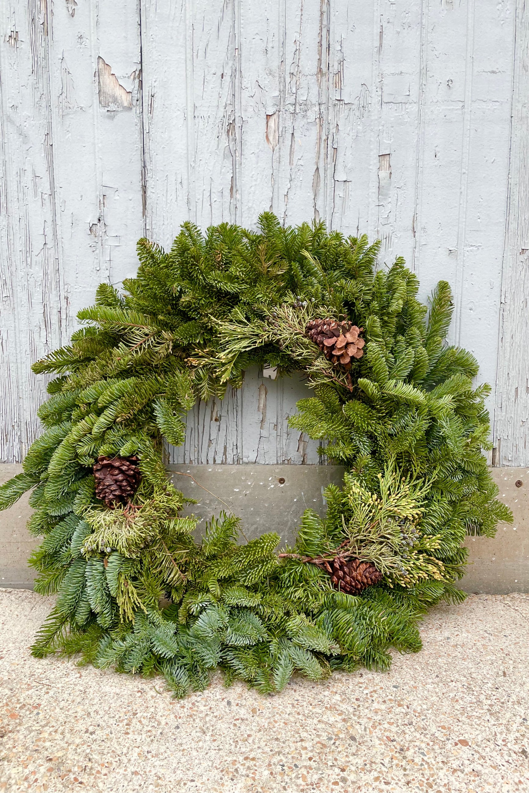 Holiday Masterpiece wreath 24" with green fir and pinecones against grey wall ©Sprout Home