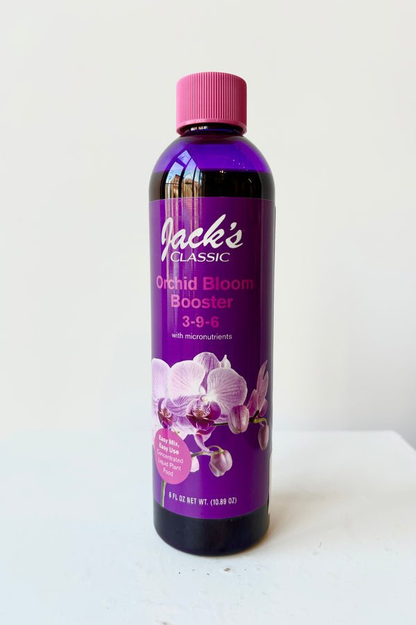 Front view of Jacks Classic 8oz liquid orchid fertilizer in purple bottle against white background 