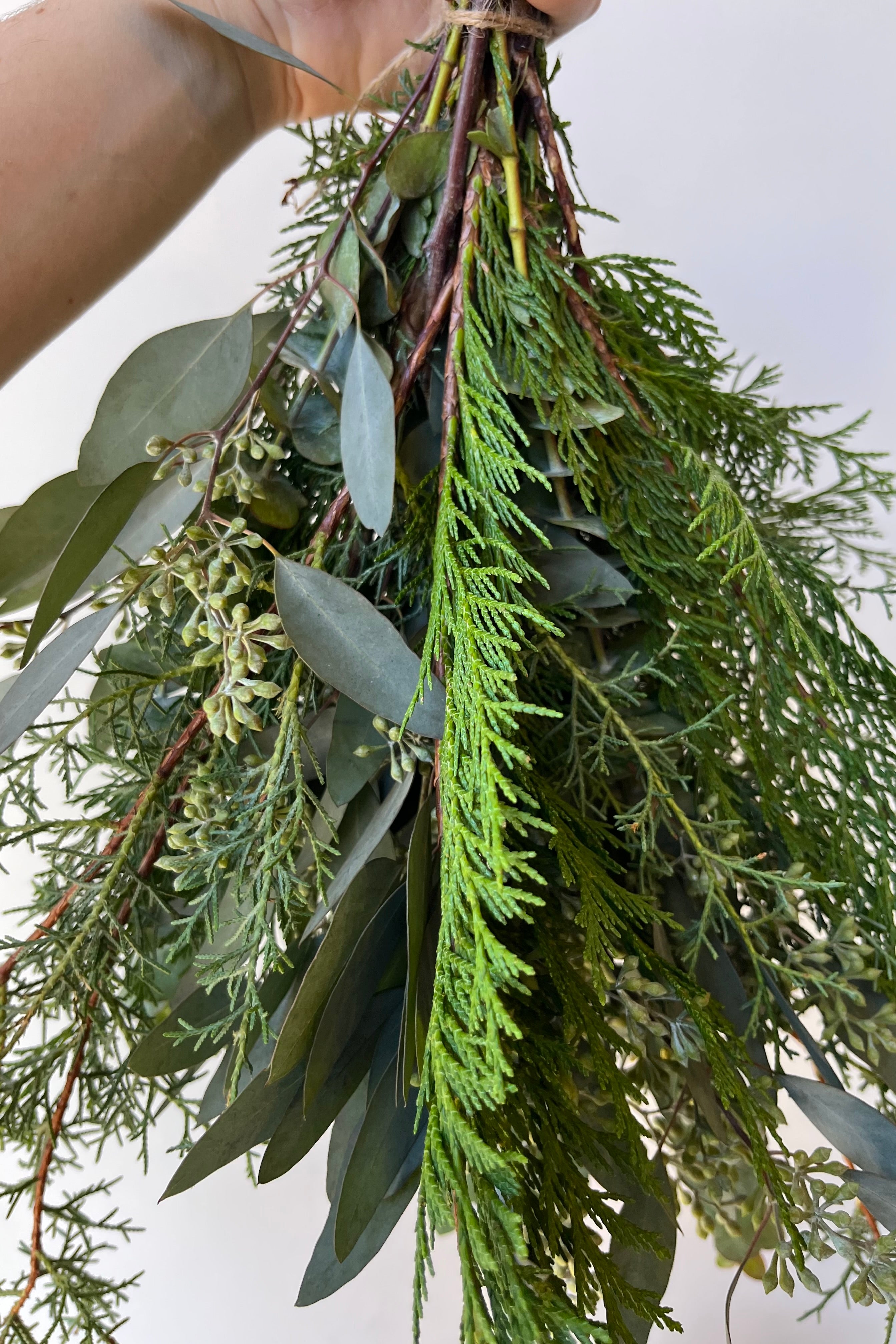 Close up of a hand holding a mixed greenery bouquet with eucalyptus, cypress, cedar tied with twine against a white wall. #size_$35