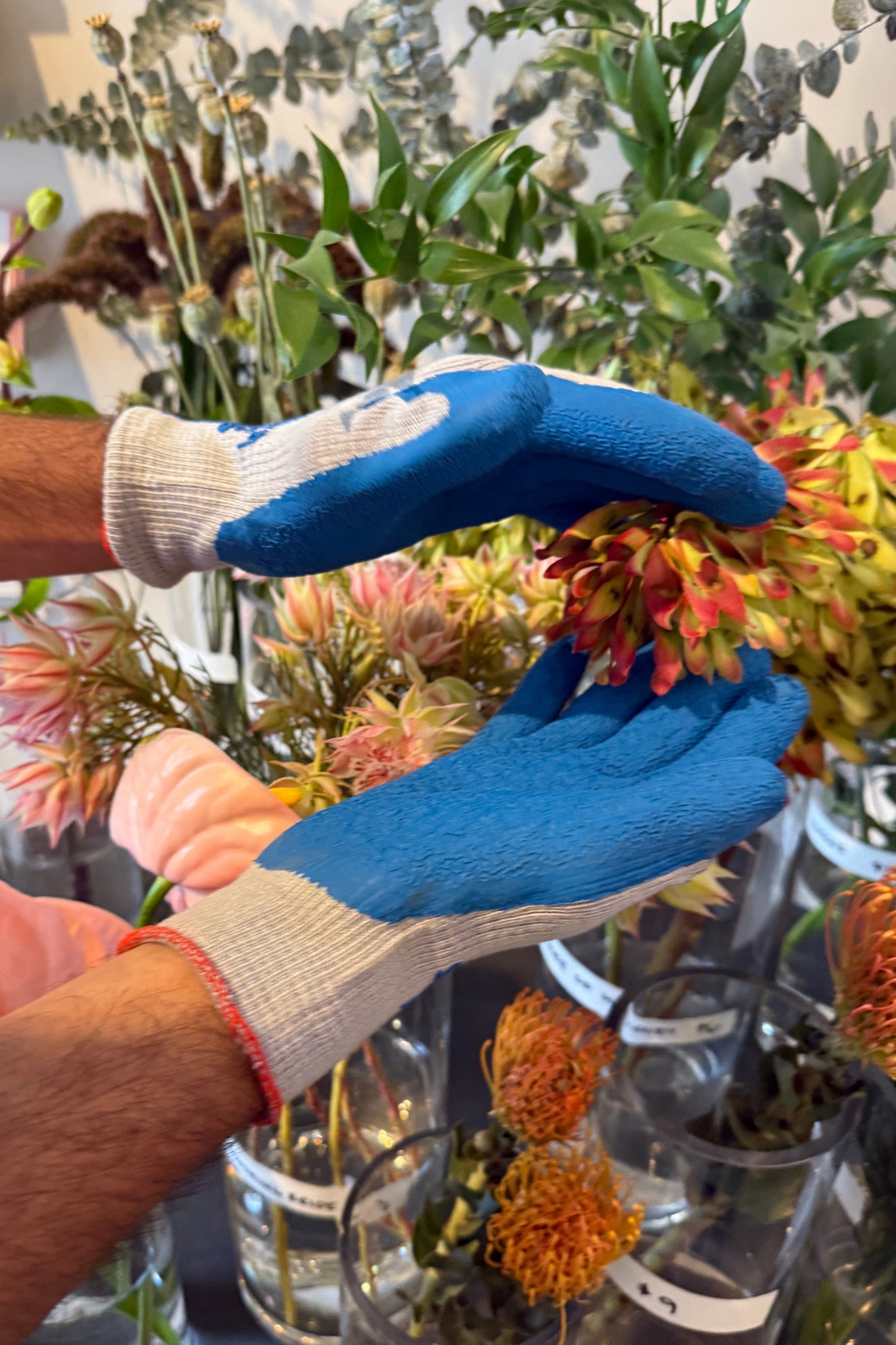 A close-up of a person wearing blue and white knit work gloves while handling a cluster of orange and red dried flowers in a floral arrangement setting. ©Sprout home