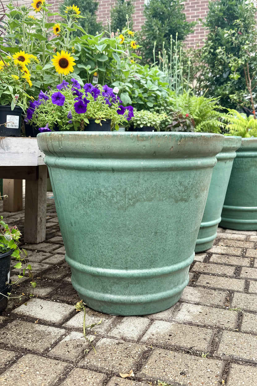Lainey Sage Planter sitting on a paved patio in a garden setting with other pots and flowers in the background. ©Sprout Home