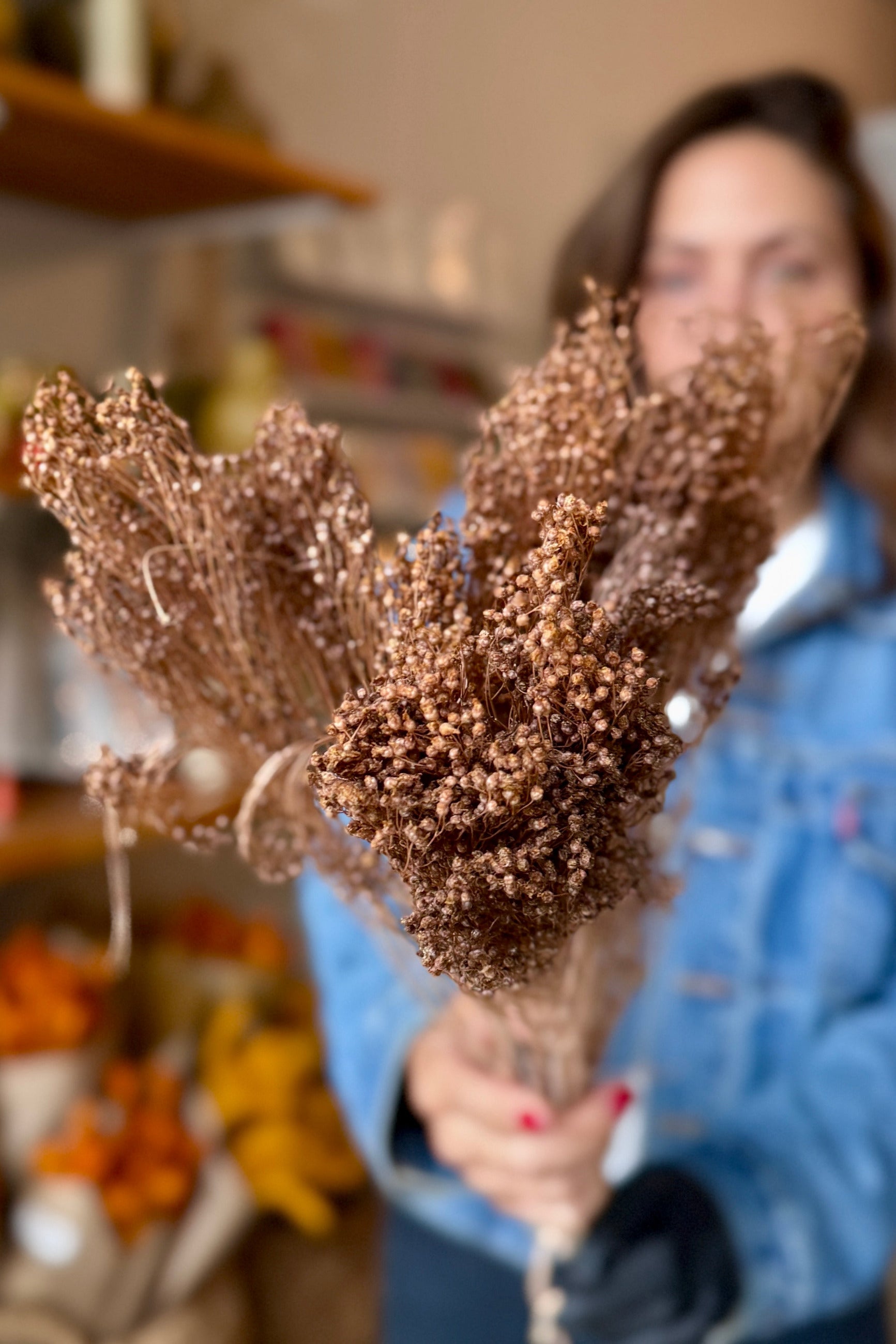 A person in a blue denim jacket holds a Brooms Sepia Pastel Preserved Bunch in the foreground, with a softly blurred indoor background. ©Sprout Home
