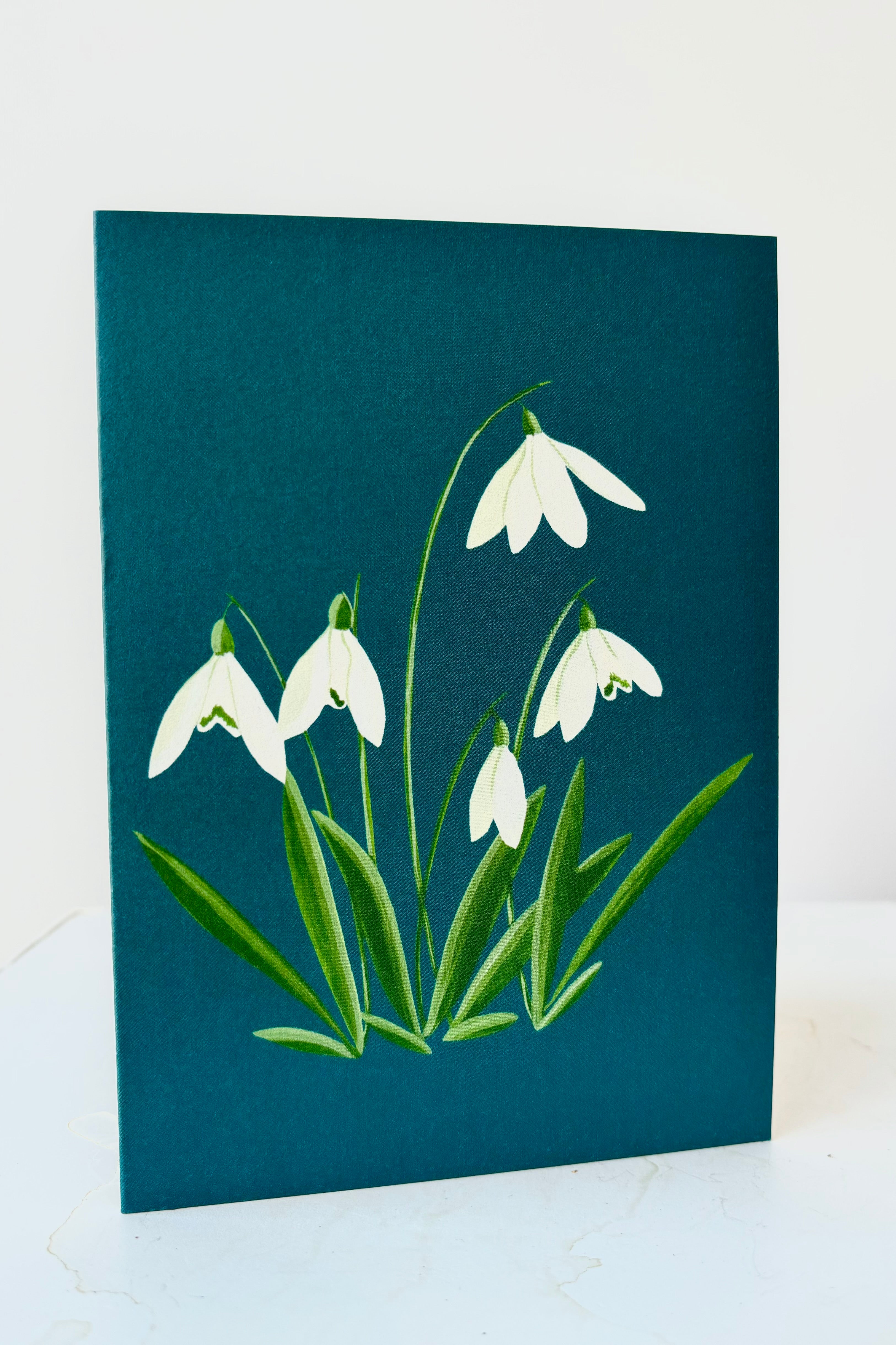 Blank greeting card with image of snowdrops on a teal blue background against white wall.
