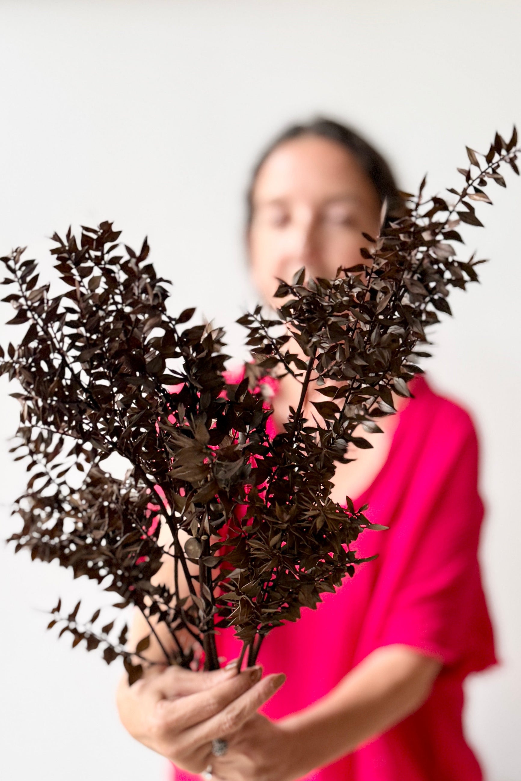A person in a bright pink top holds a lRuscus Rust Color Preserved Bunch in front of their face against a plain light background. ©Sprout Home