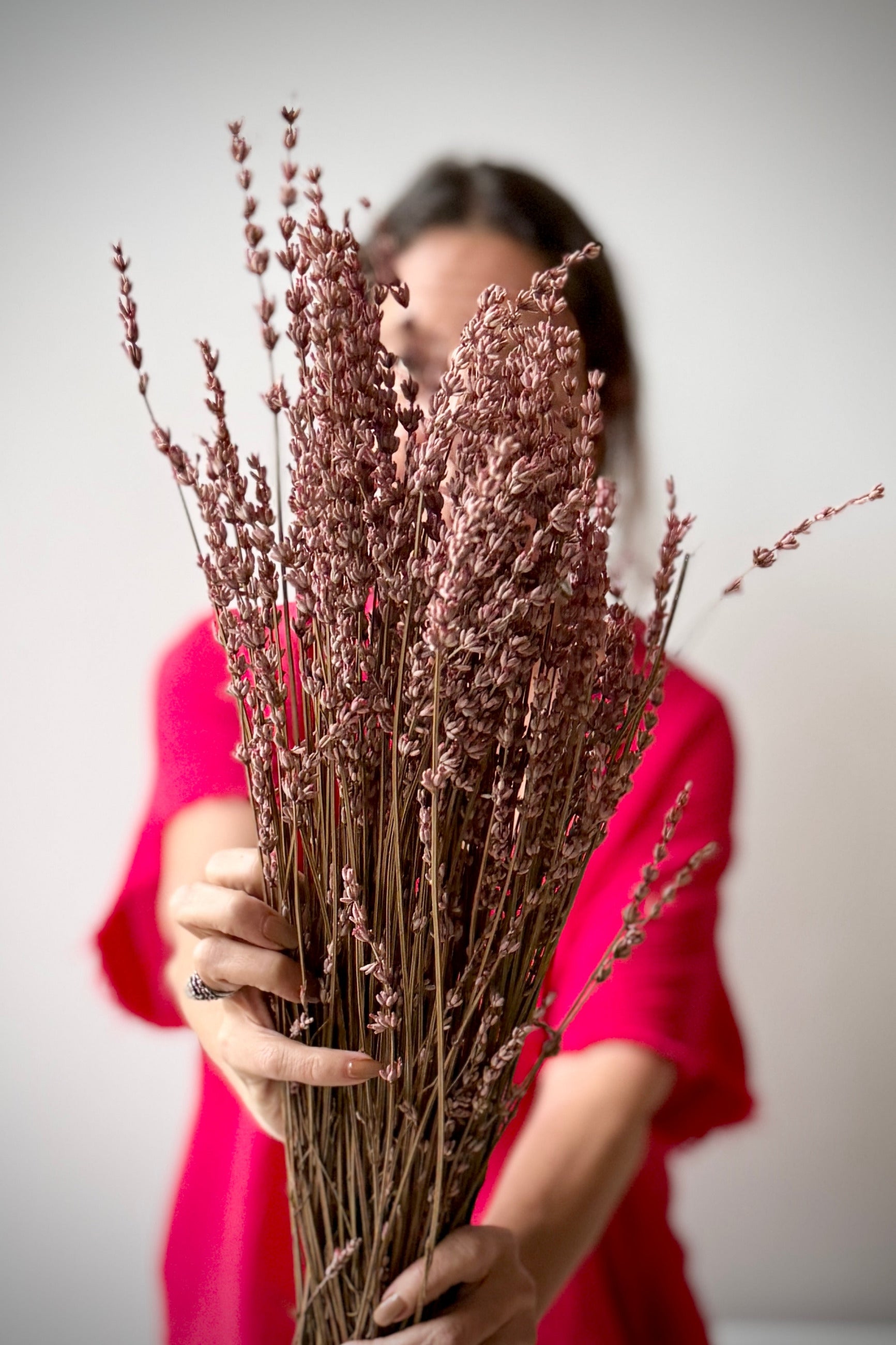 A person in a bright pink top holds a large bouquet of Lavandula Light Pink Preserved Bunch in front of their face against a plain light gray background. ©Sprout Home