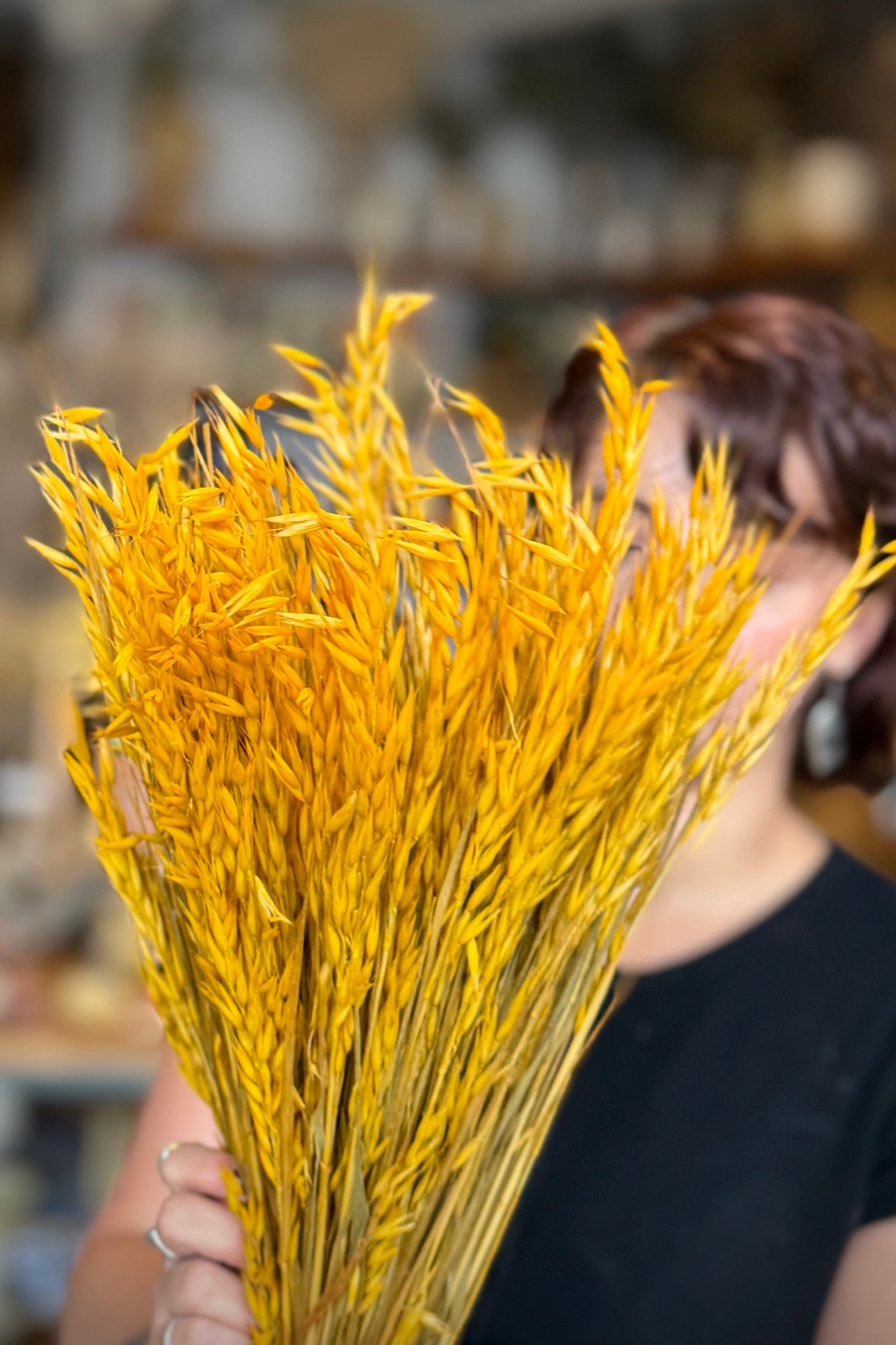 A person holding a Avena Sativa Ochre Color Preserved Bunch in front of their face, with a softly blurred indoor background. ©Sprout Home