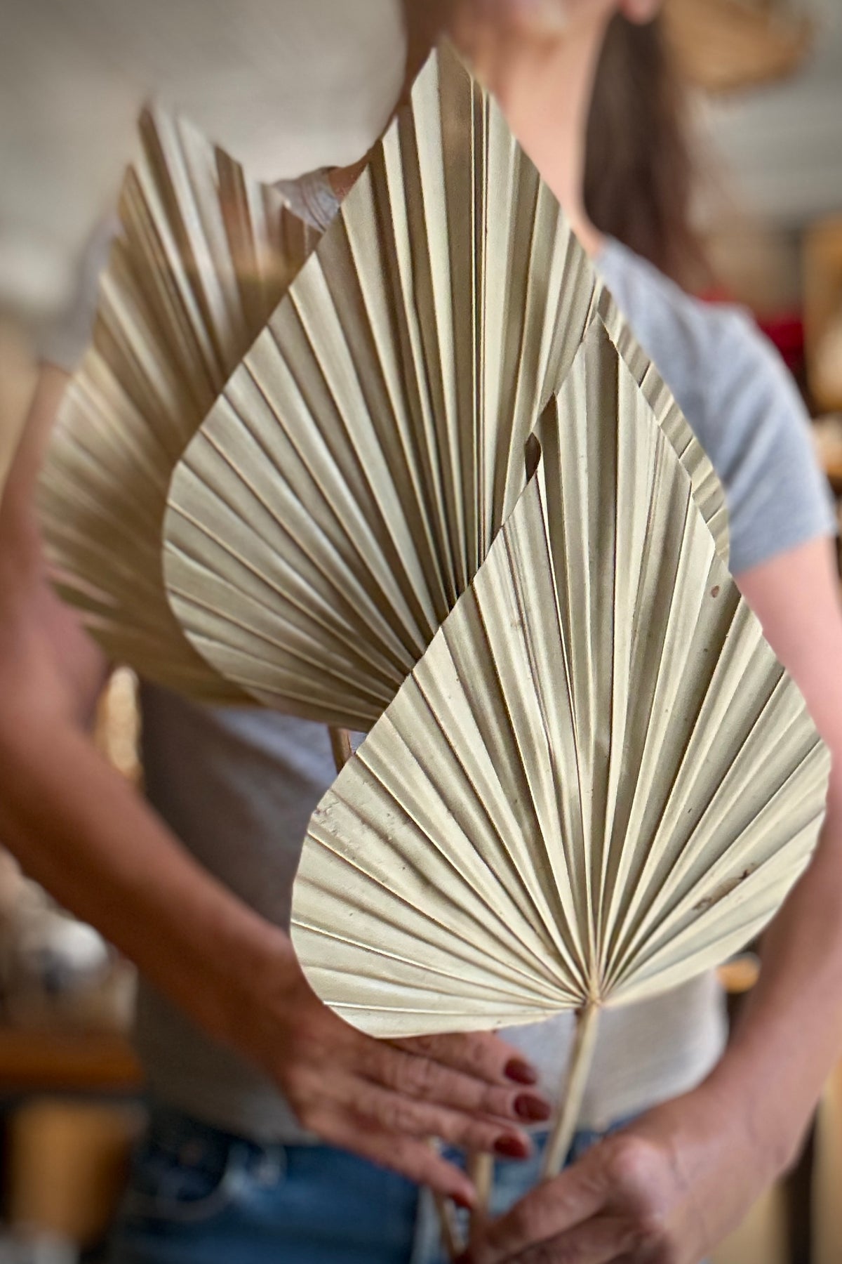 Palm Spear Gigante Natural Color Preserved Bunch being held in hand with a blurred background ©Sprout Home