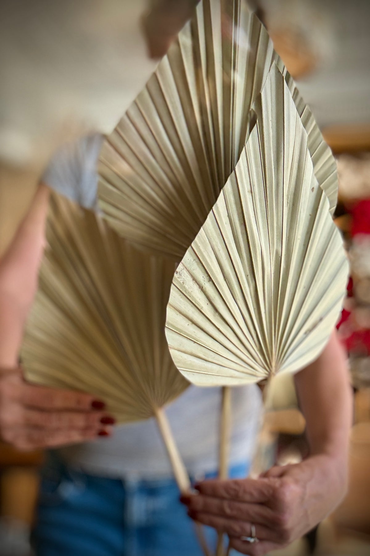 Palm Spear Gigante Natural Color Preserved Bunch held in hand ©Sprout Home
