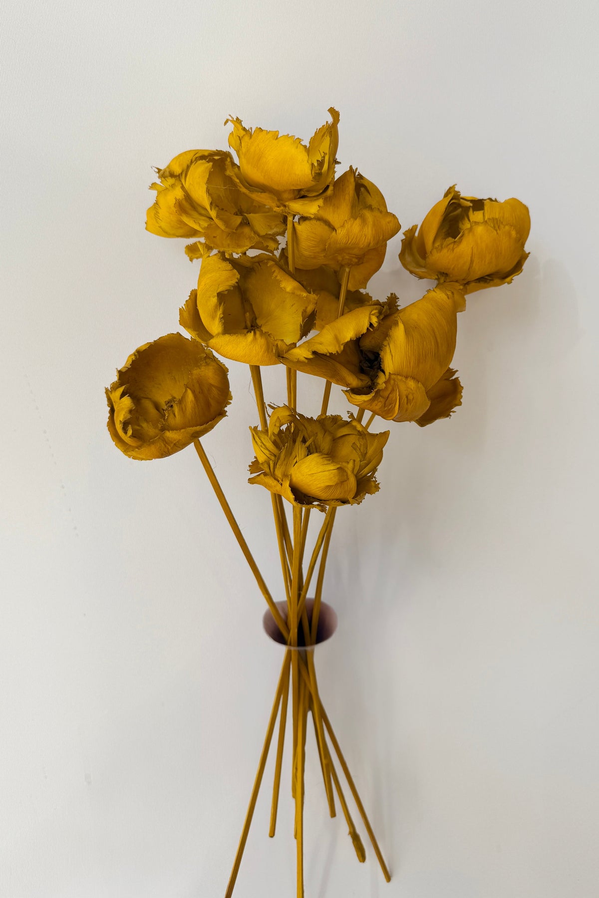 Palm Cap Ochre Pastel Preserved Bunch on white background ©Sprout Home