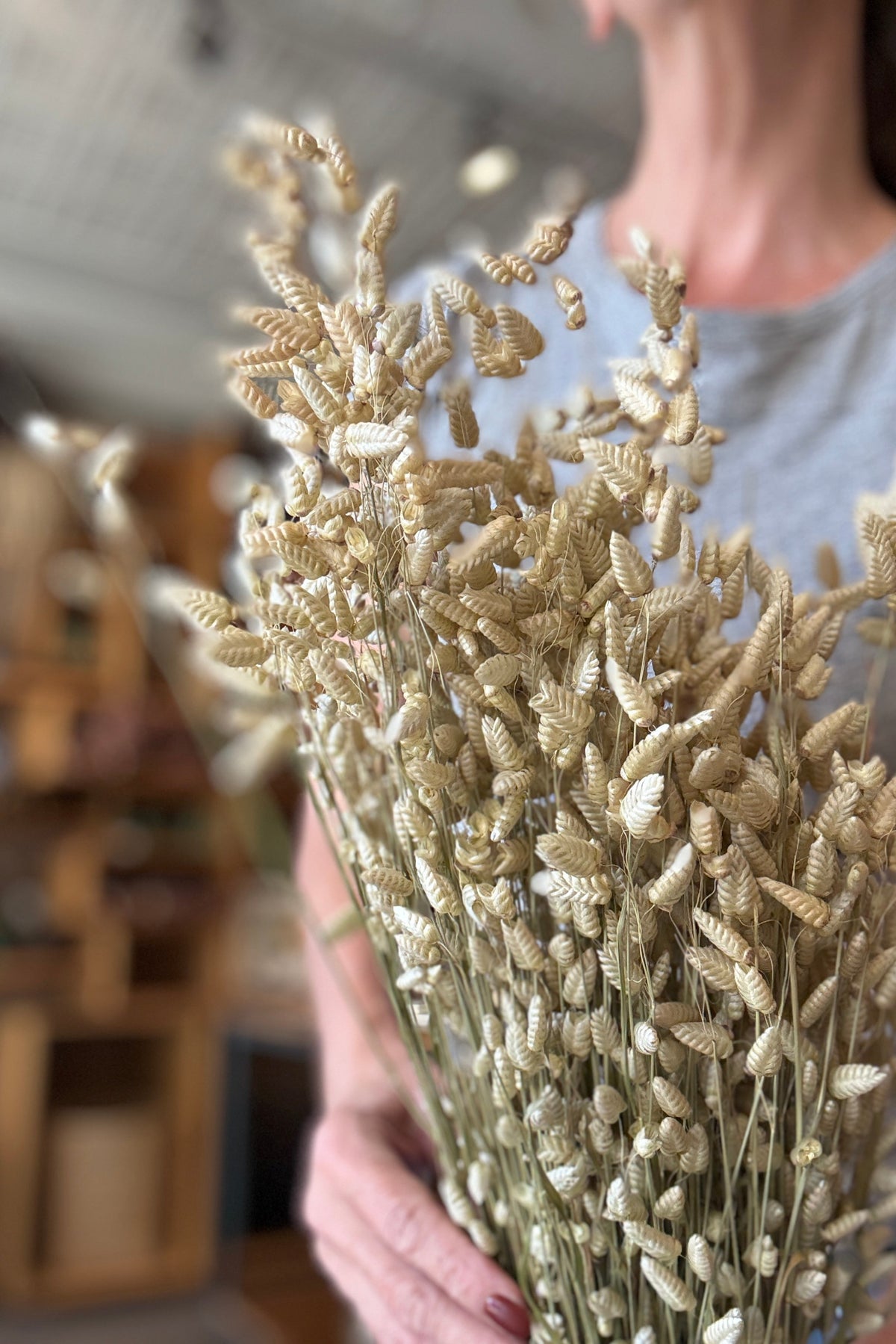 Briza Maxima Natural Preserved Bunch up close and being held in hand ©Sprout Home
