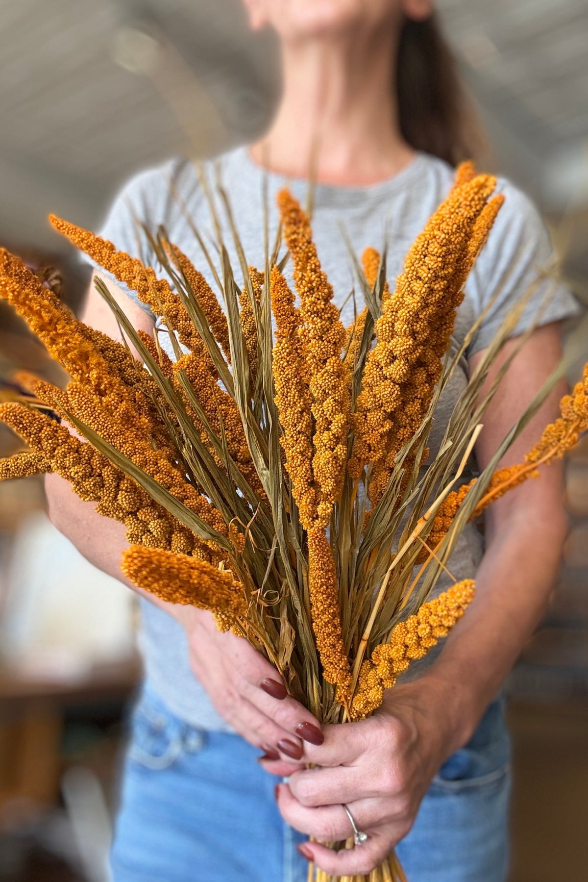 Setaria Italica Orange Color Preserved Bunch being held in front a person with a blurred background ©Sprout Home